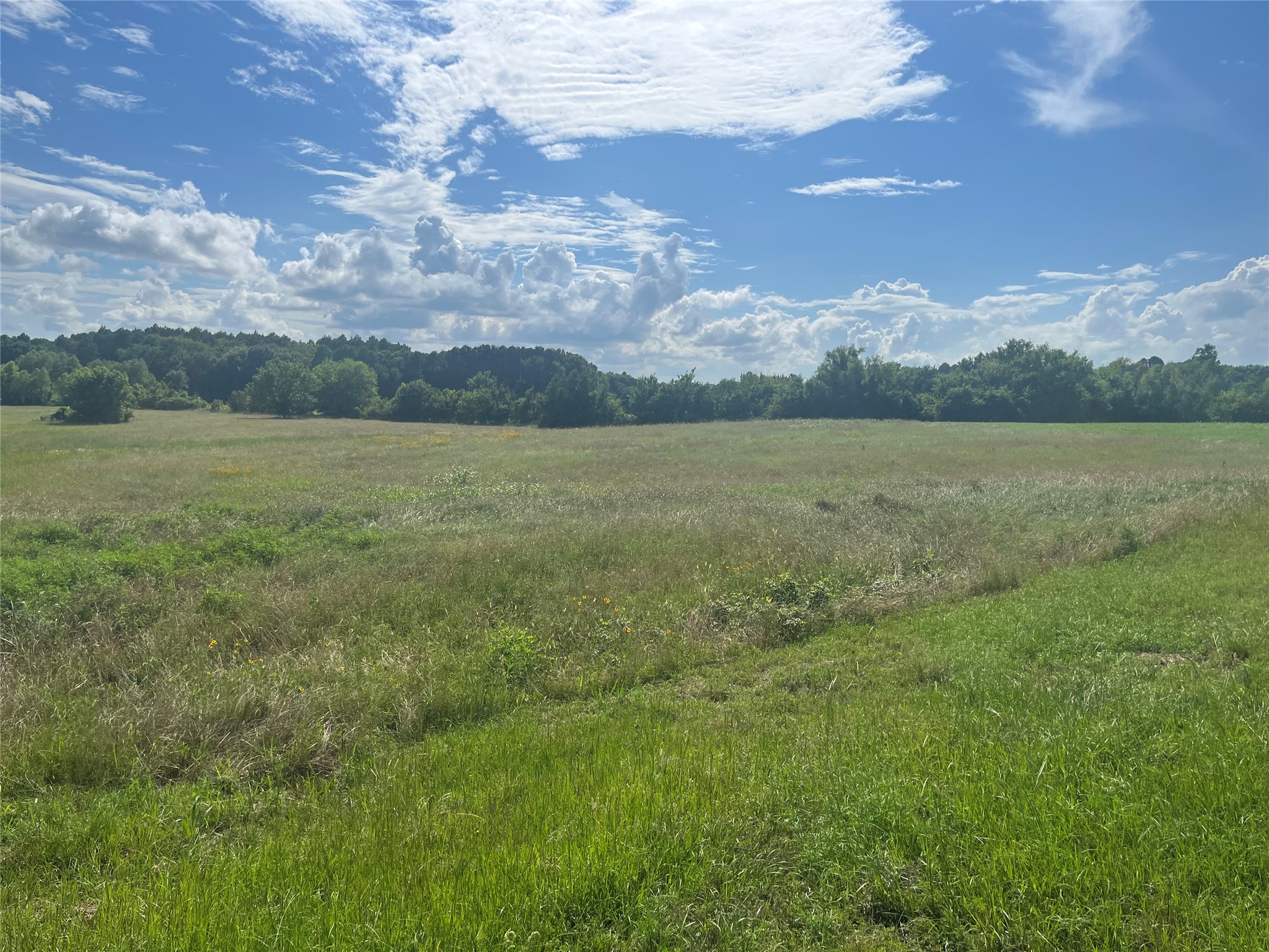 Lot 351 Grand View Drive Athens TX 75752