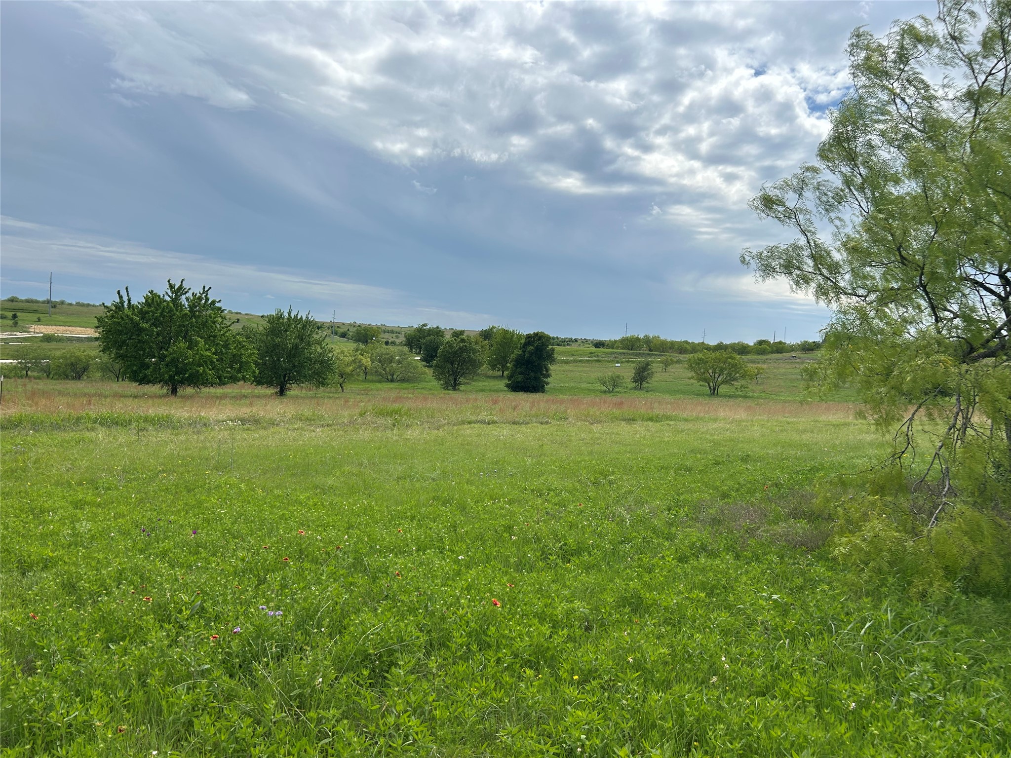 2040 Hidden Bluff Drive Aledo TX 76008