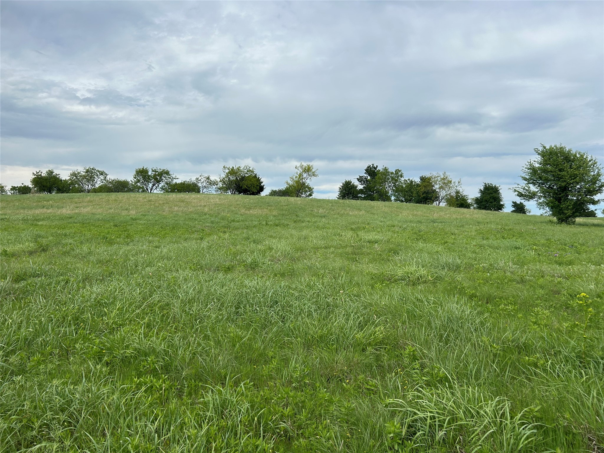 2040 Hidden Bluff Drive Aledo TX 76008