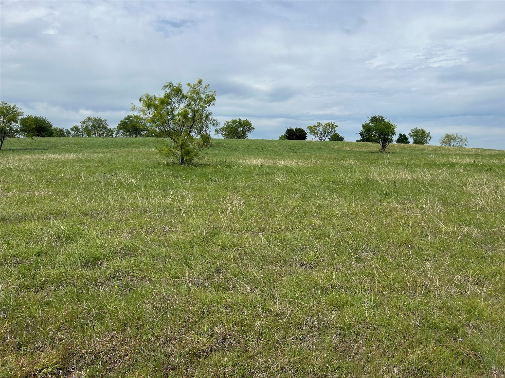 2040 Hidden Bluff Drive Aledo TX 76008