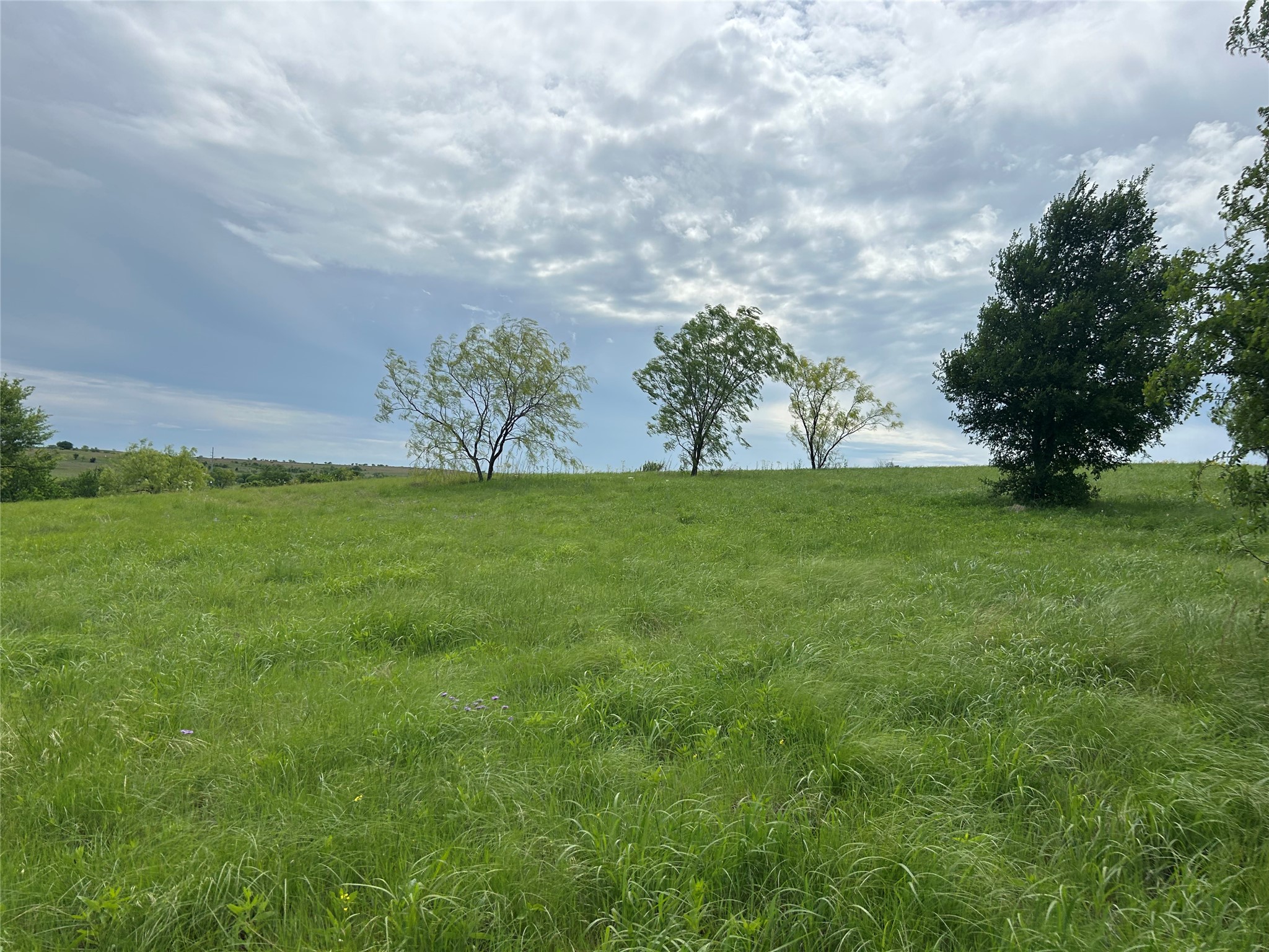 2040 Hidden Bluff Drive Aledo TX 76008