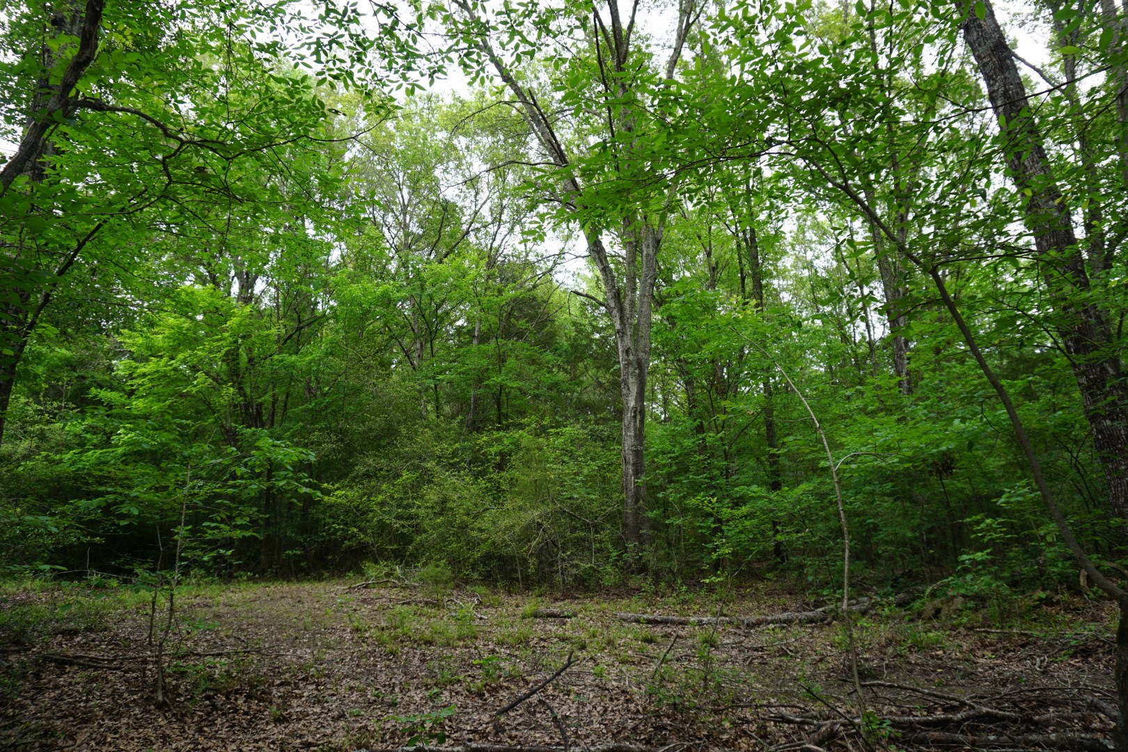 Tbd County Road 1200 Malakoff TX 75148