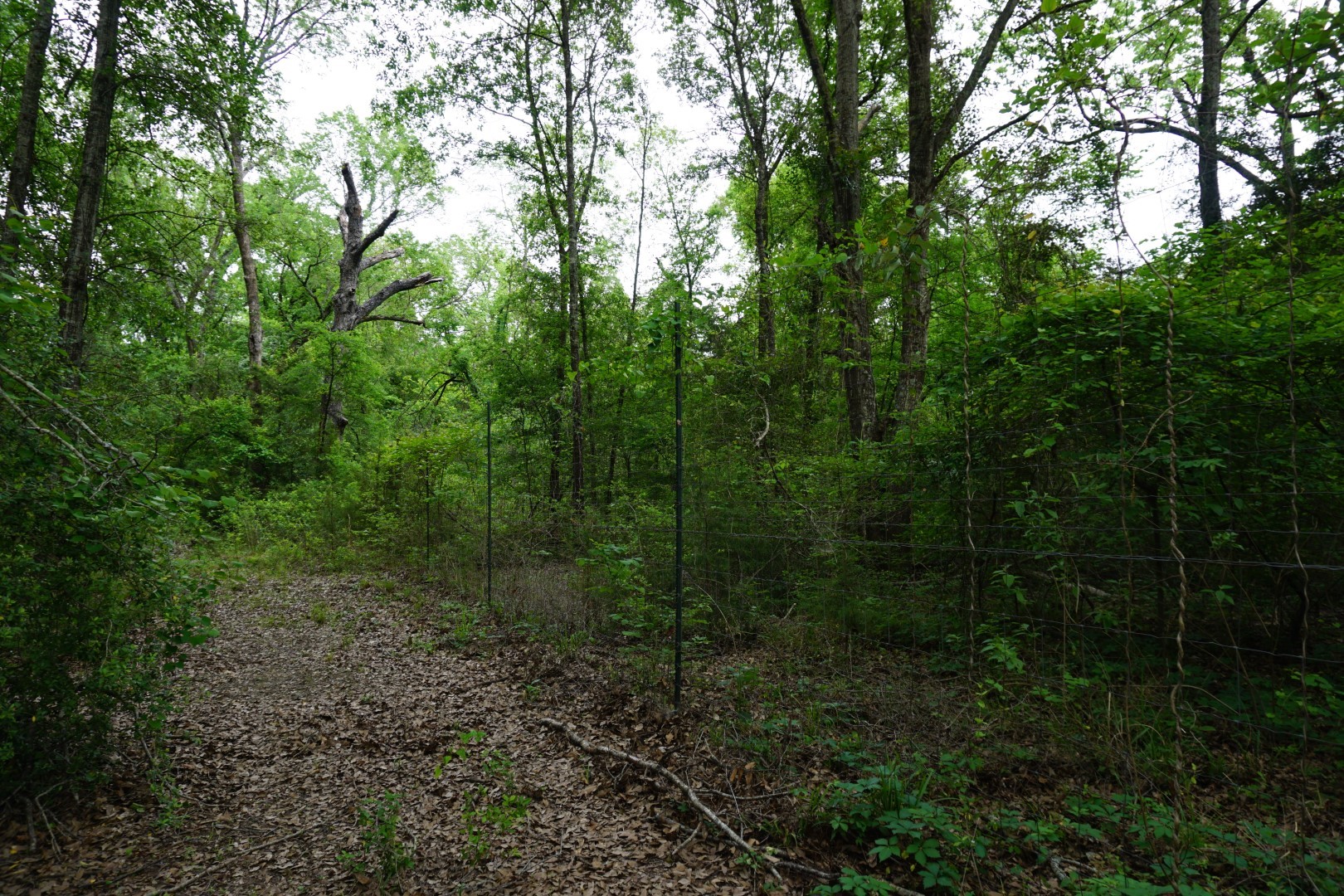 Tbd County Road 1200 Malakoff TX 75148