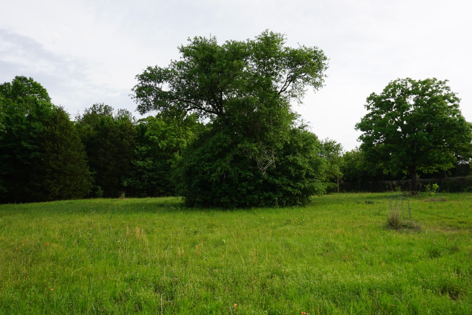 Tbd County Road 1200 Malakoff TX 75148