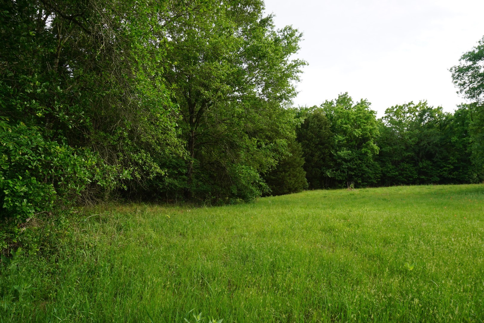Tbd County Road 1200 Malakoff TX 75148