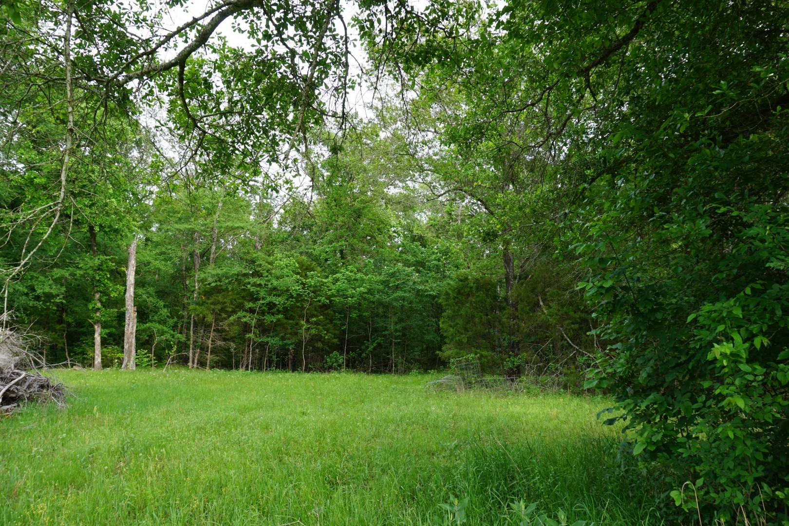 Tbd County Road 1200 Malakoff TX 75148