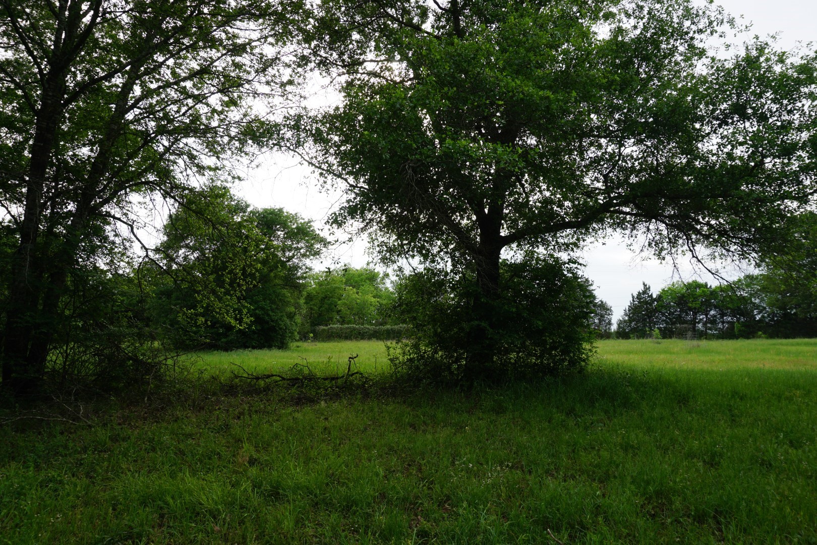 Tbd County Road 1200 Malakoff TX 75148