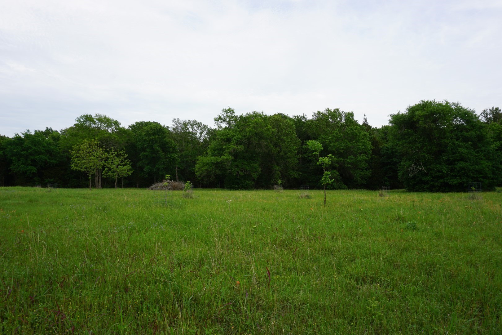 Tbd County Road 1200 Malakoff TX 75148