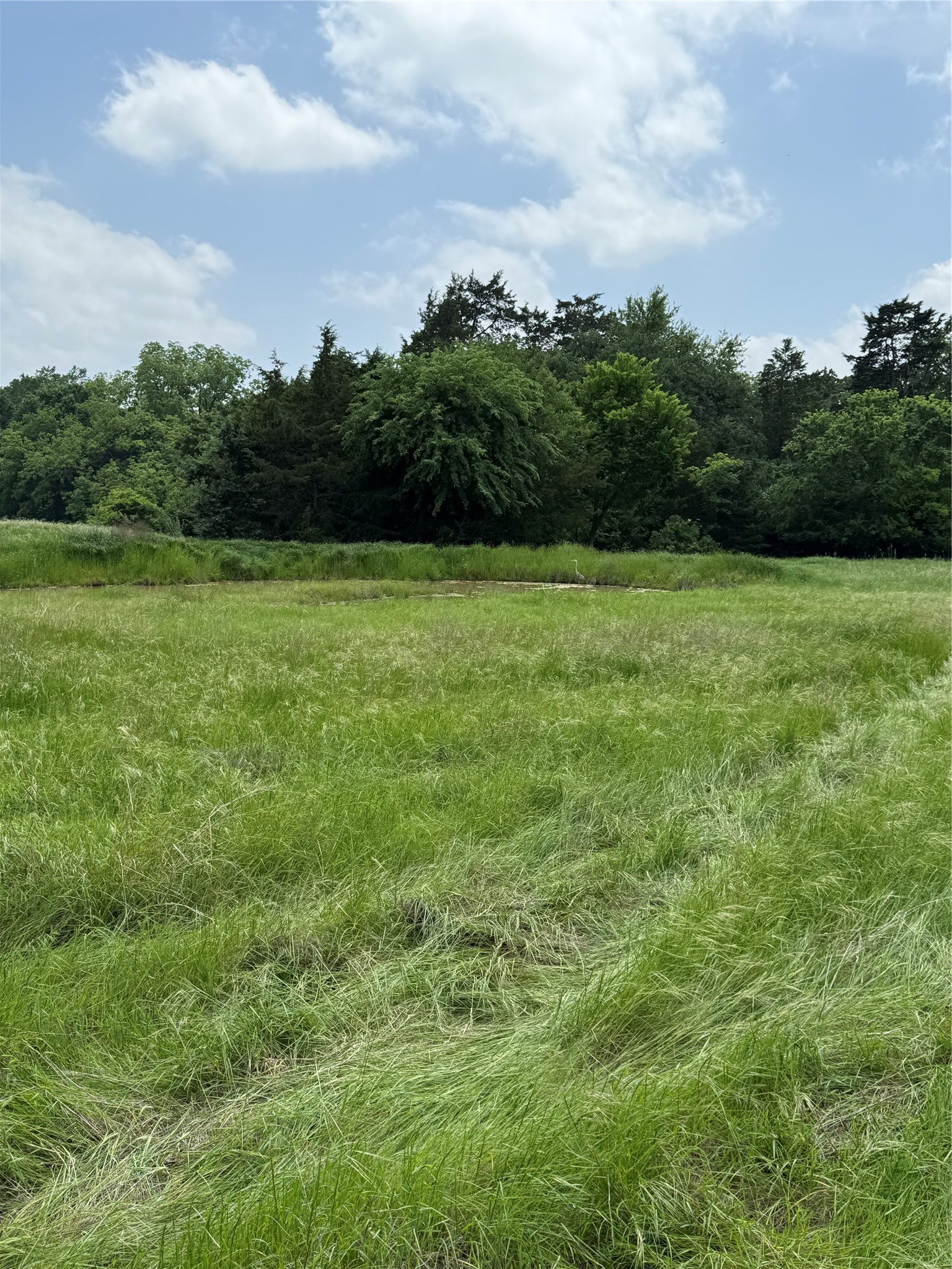 Tbd N Fm 730 Decatur TX 76234