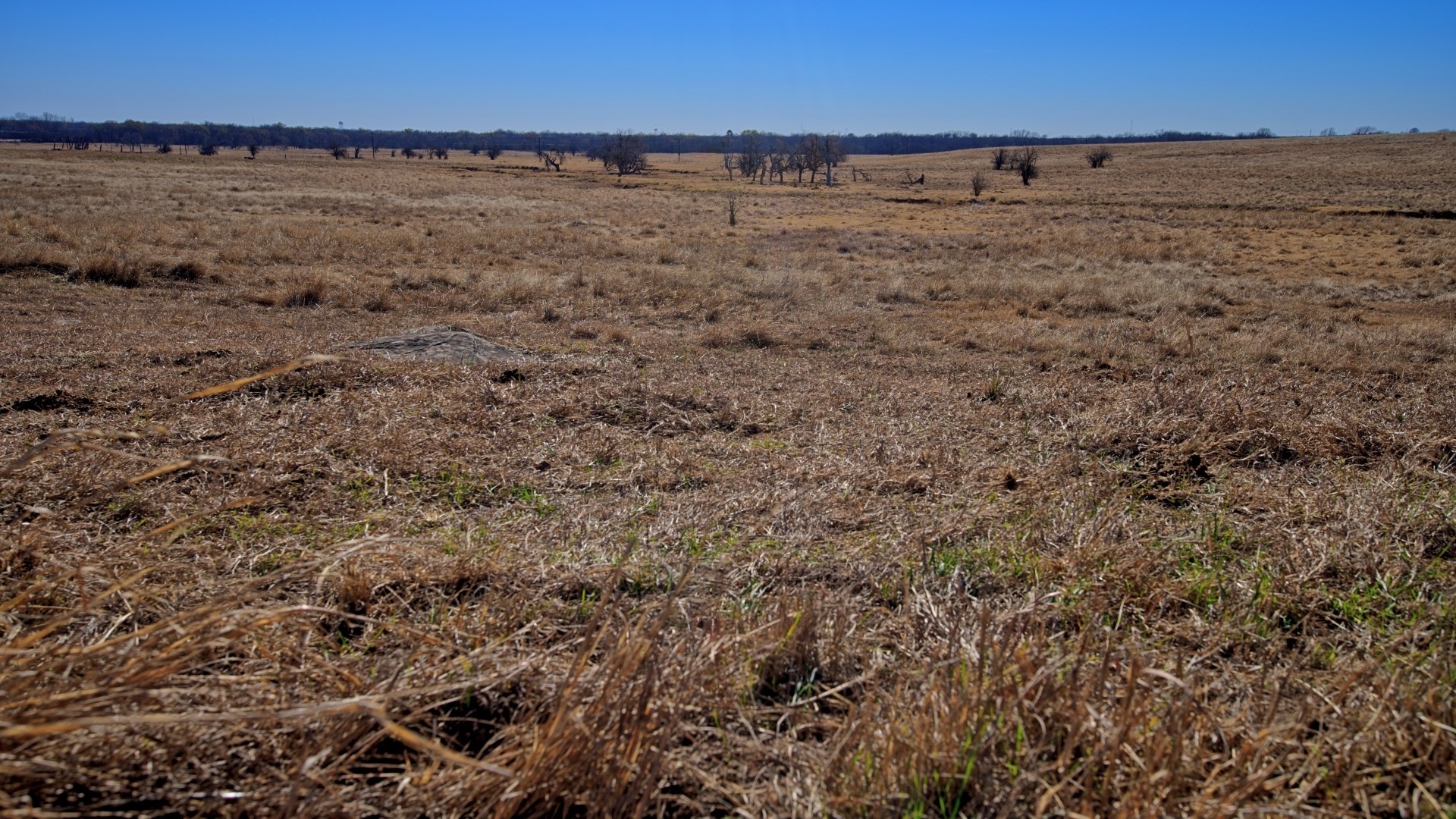 Tbd Fm 1197 Dean TX 76365