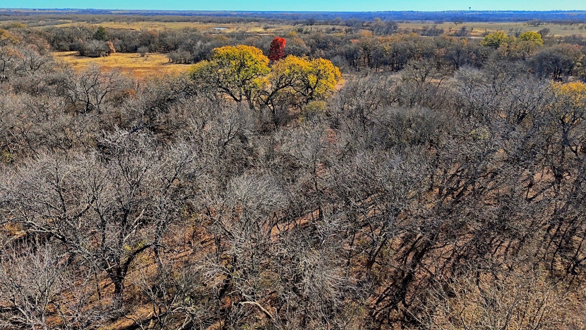 Tbd Fm 1197 Dean TX 76365
