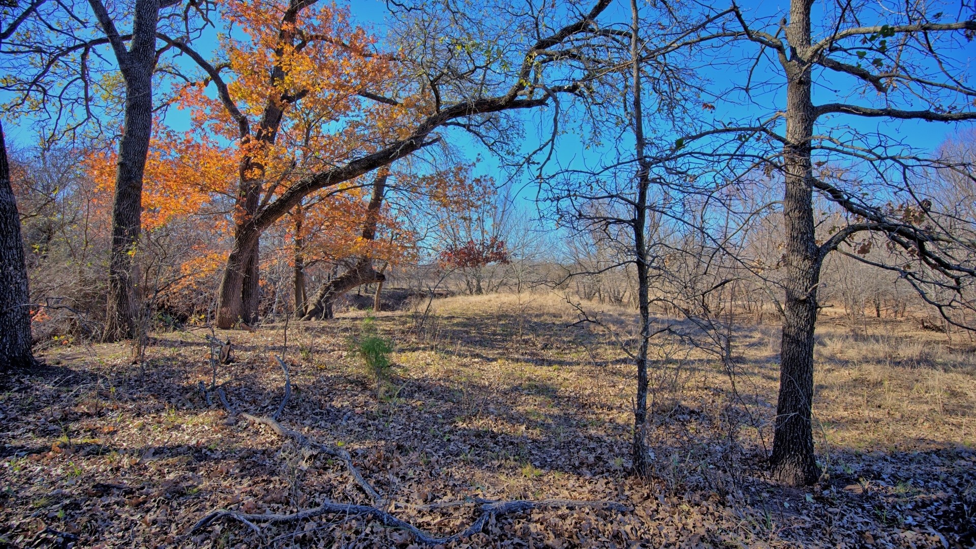 Tbd Fm 1197 Dean TX 76365