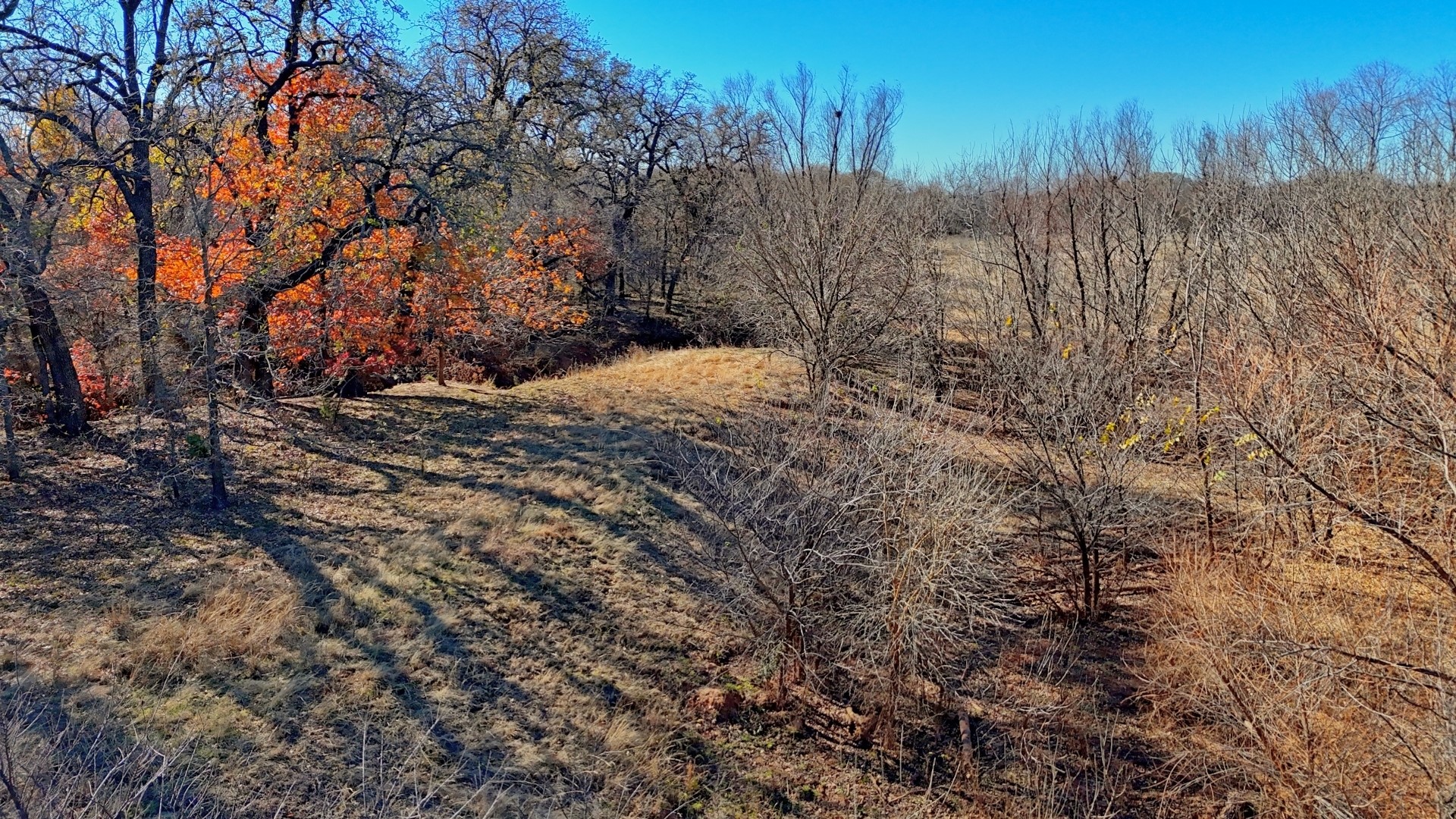 Tbd Fm 1197 Dean TX 76365