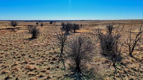 Tbd Fm 1197 Dean TX 76365