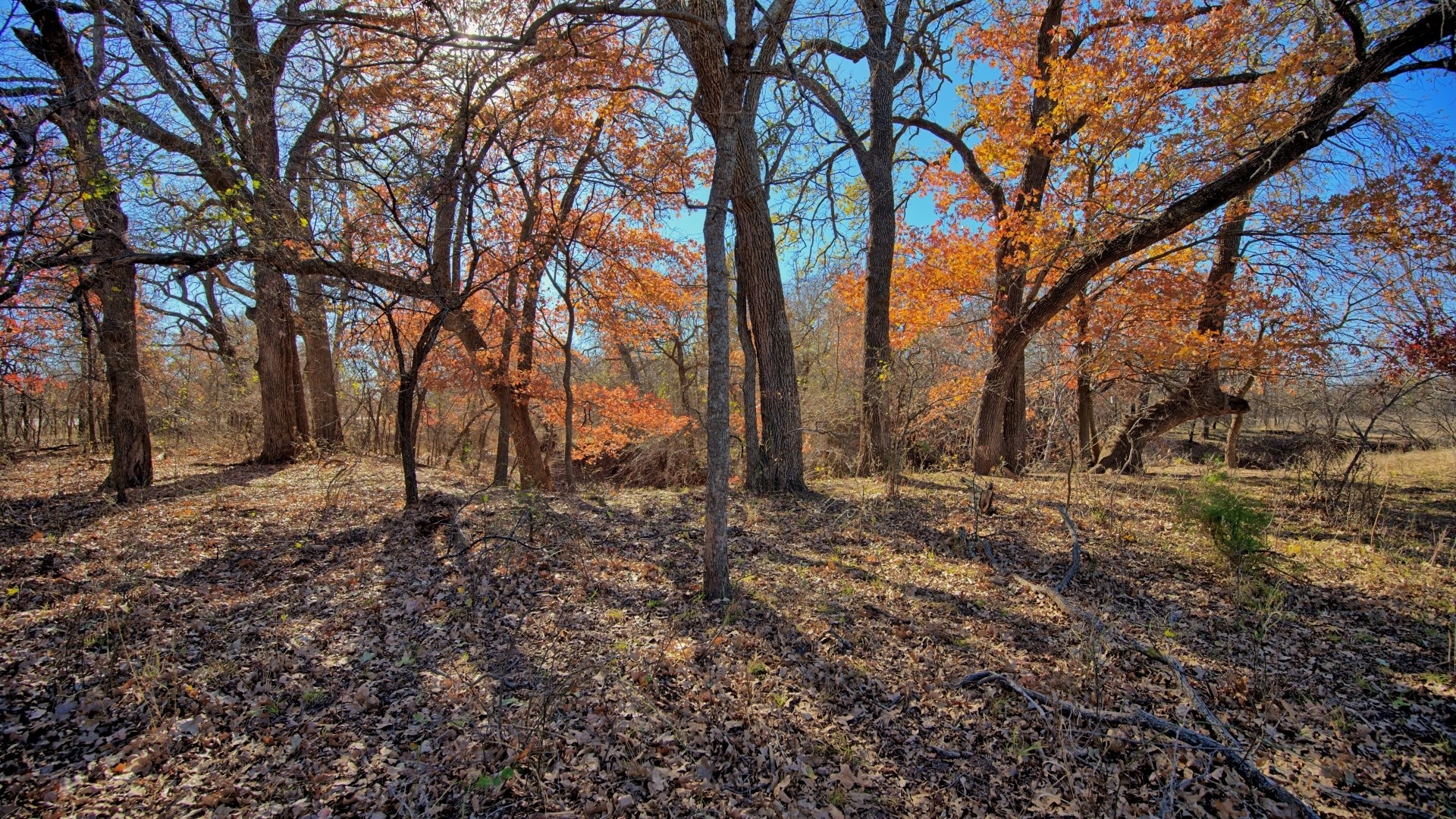 Tbd Fm 1197 Dean TX 76365