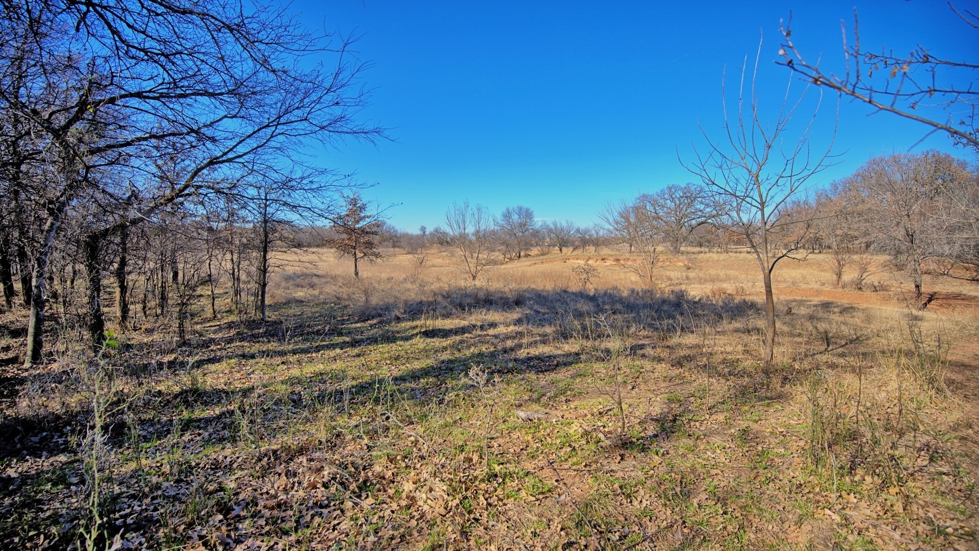 Tbd Fm 1197 Dean TX 76365
