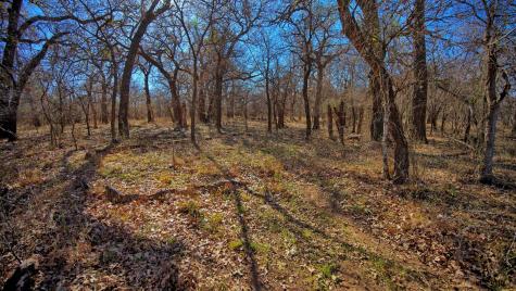 Tbd Fm 1197 Dean TX 76365