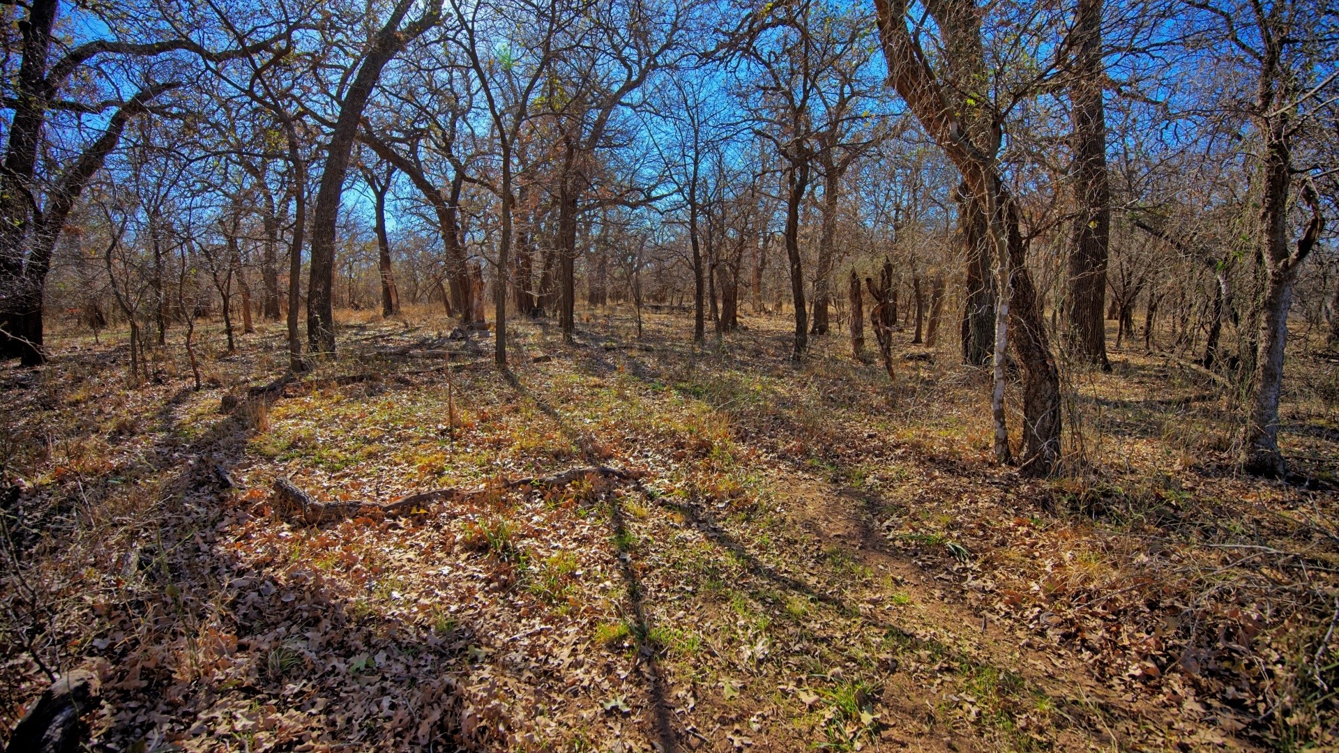 Tbd Fm 1197 Dean TX 76365