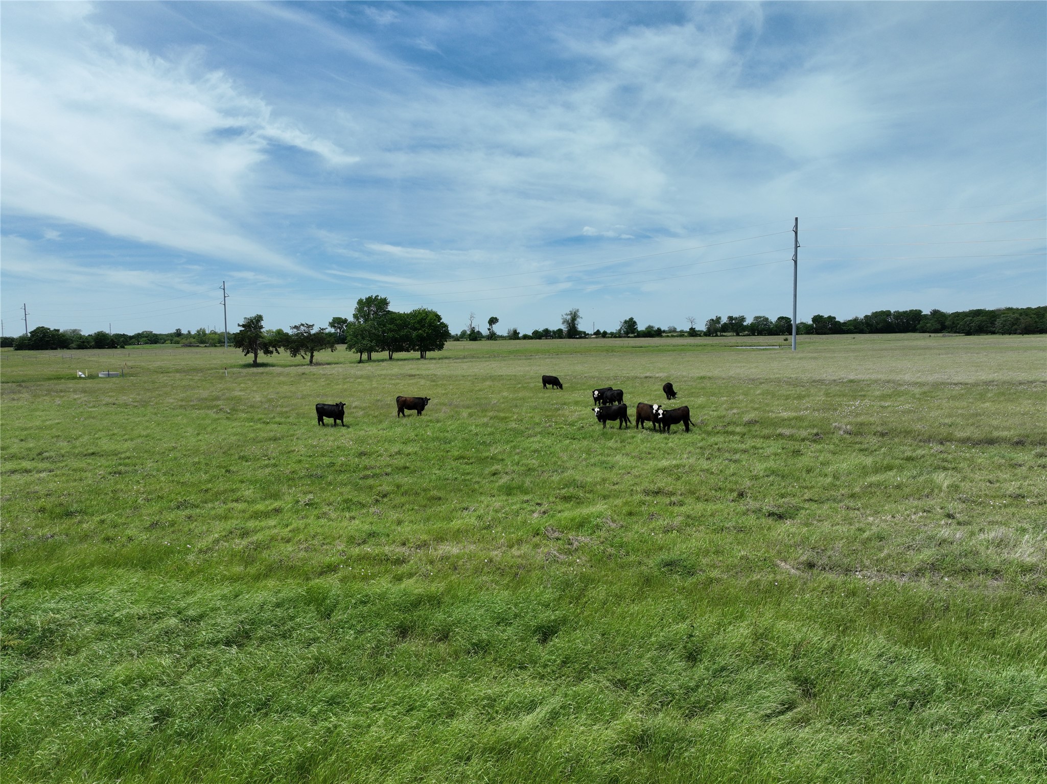 Tbd Tract 4 County Road 4830 Leonard TX 75452