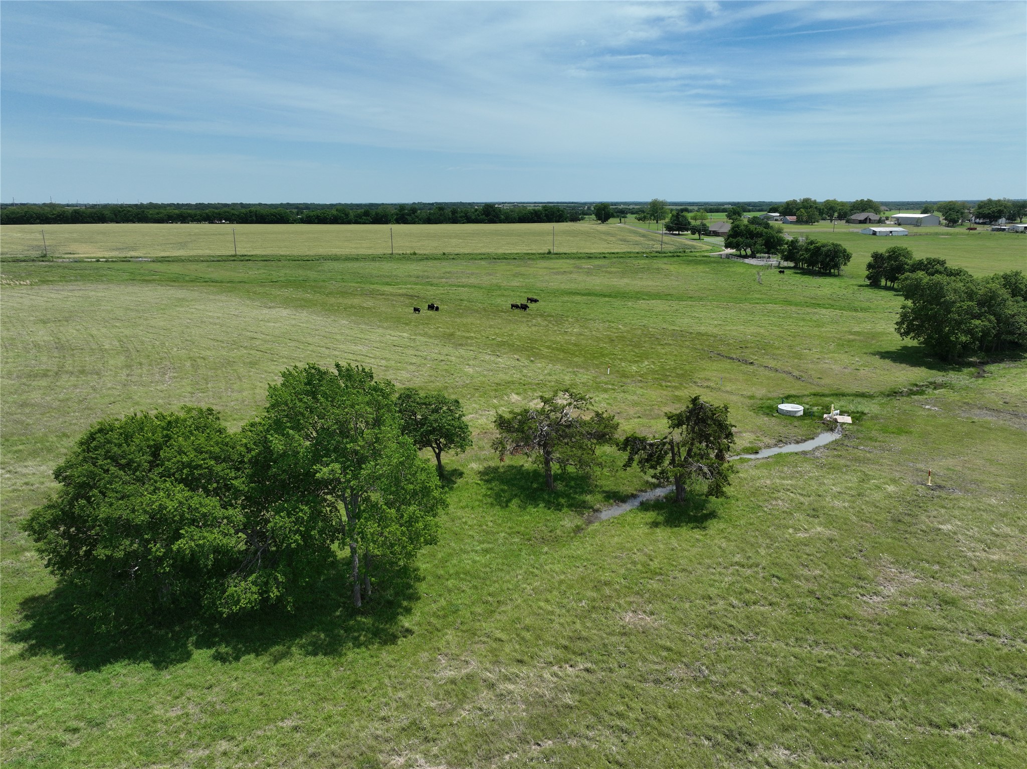 Tbd Tract 4 County Road 4830 Leonard TX 75452
