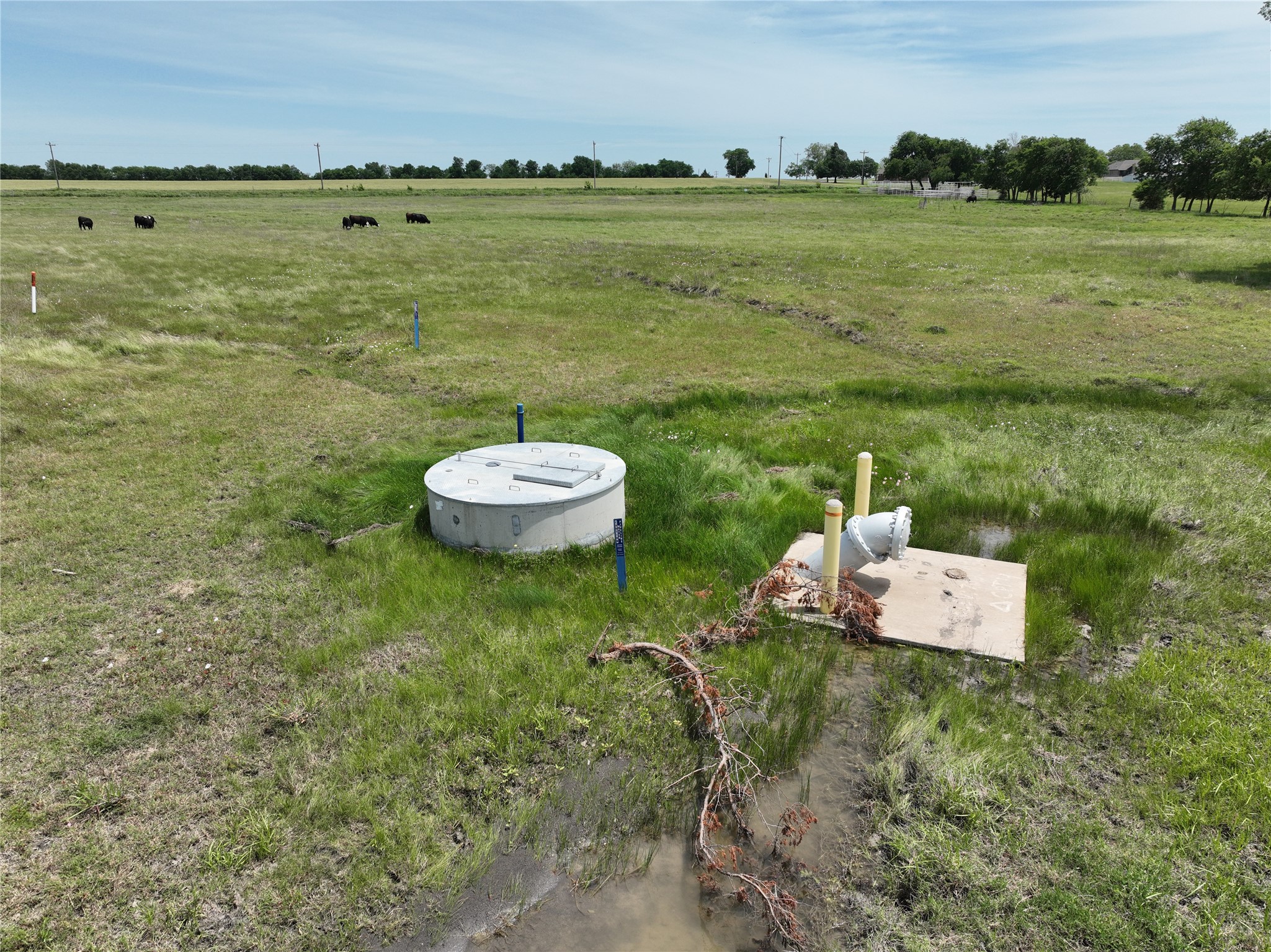 Tbd Tract 4 County Road 4830 Leonard TX 75452