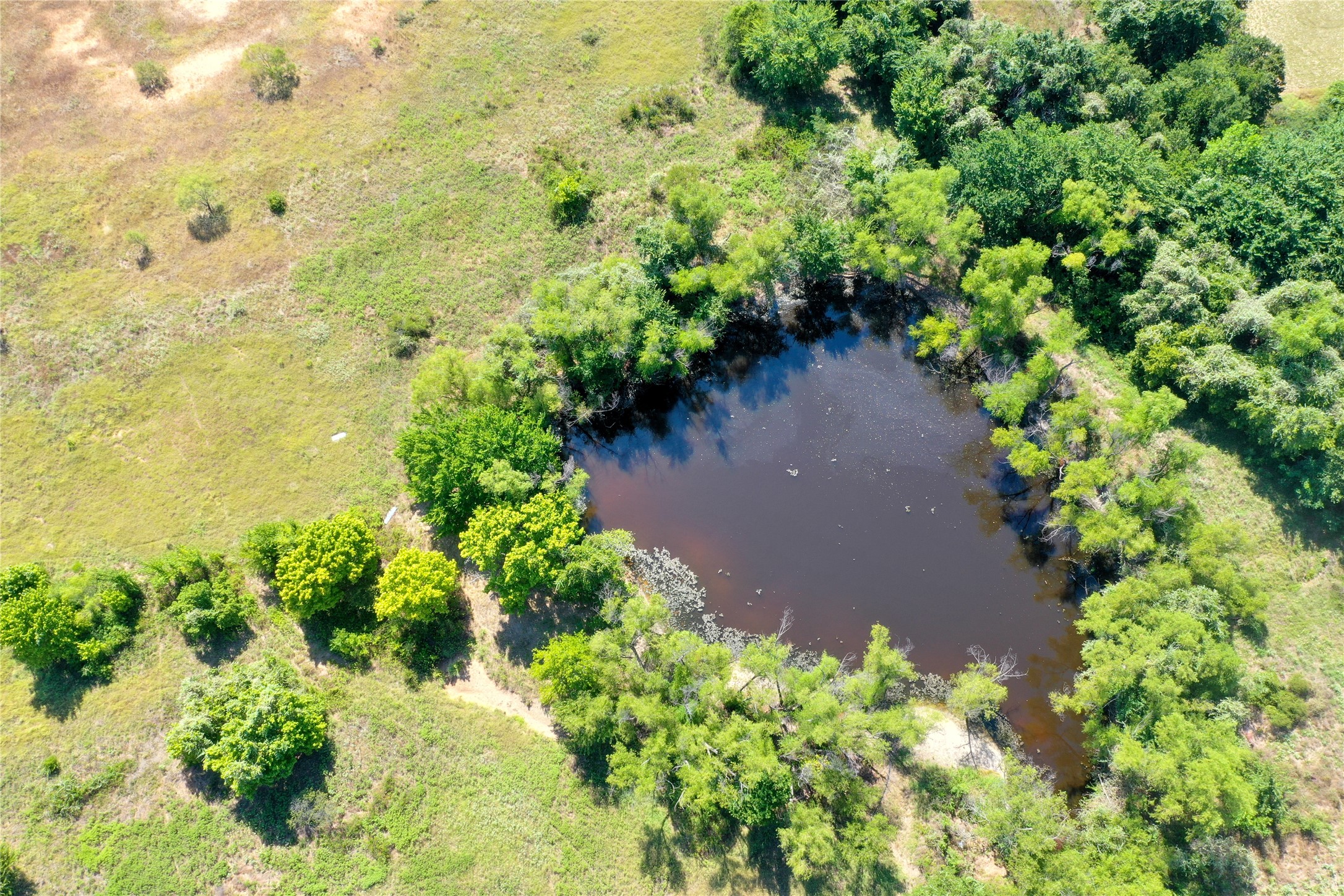 1231 County Road 4280 Decatur TX 76234