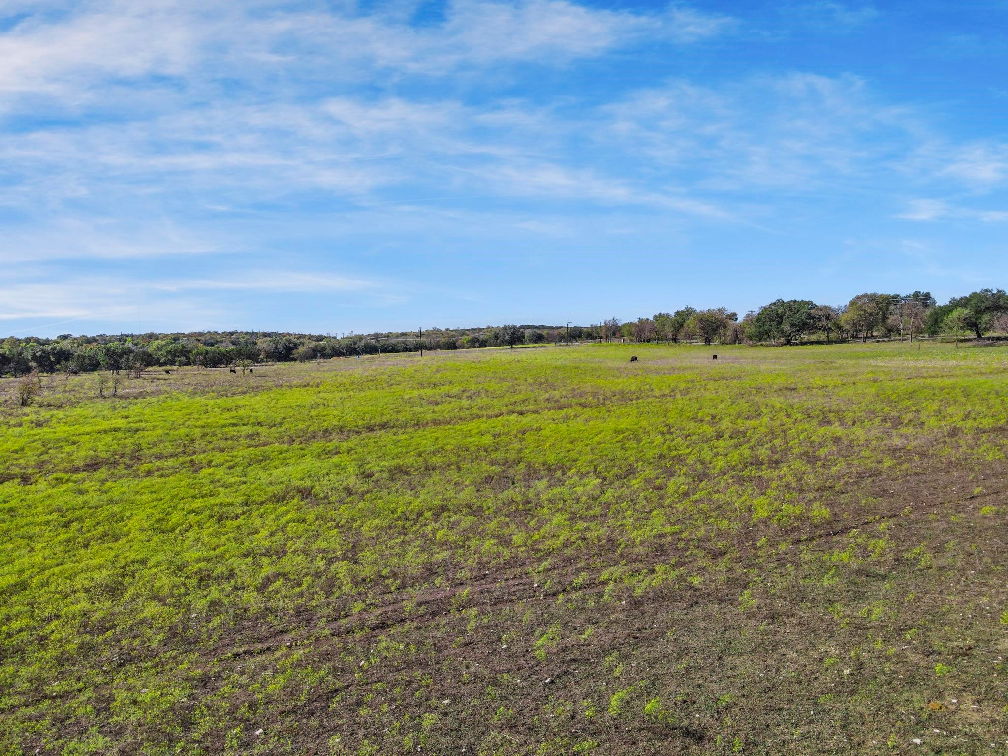100 Tiffany Court Azle TX 76085