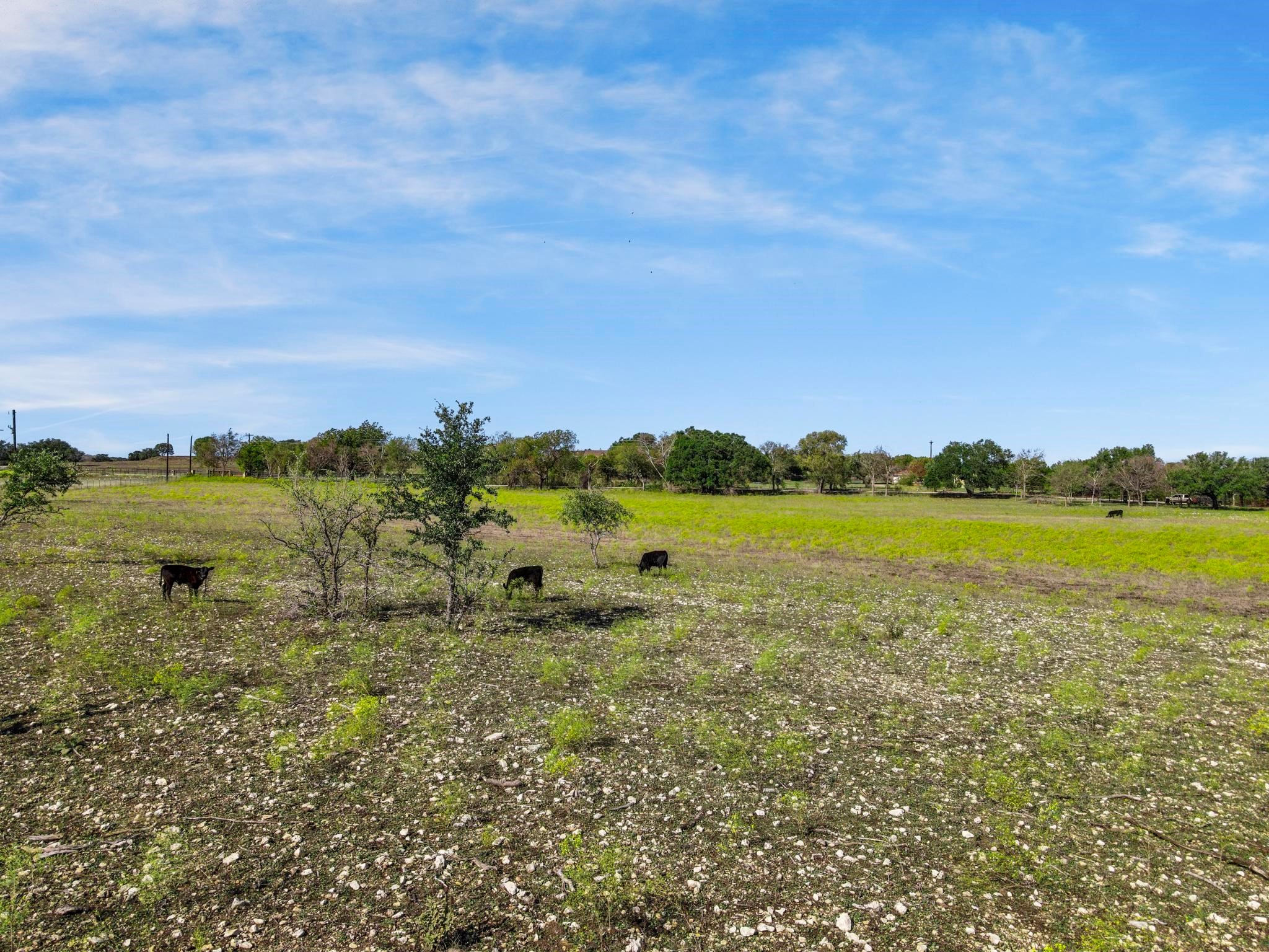 100 Tiffany Court Azle TX 76085