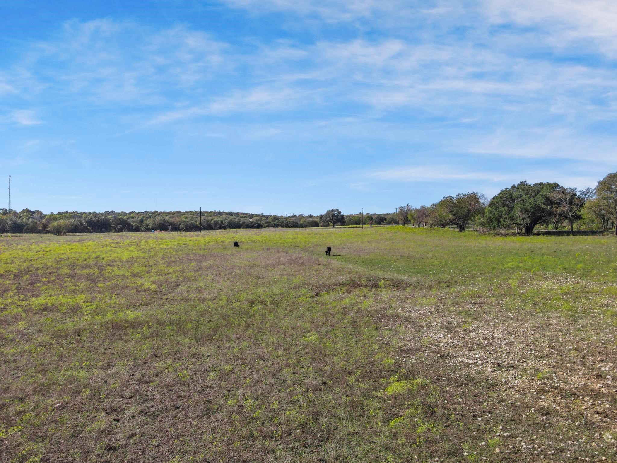 100 Tiffany Court Azle TX 76085