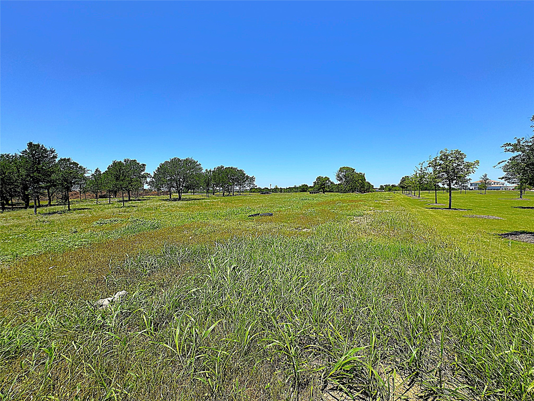 971 Lilac Lane Frisco TX 75034