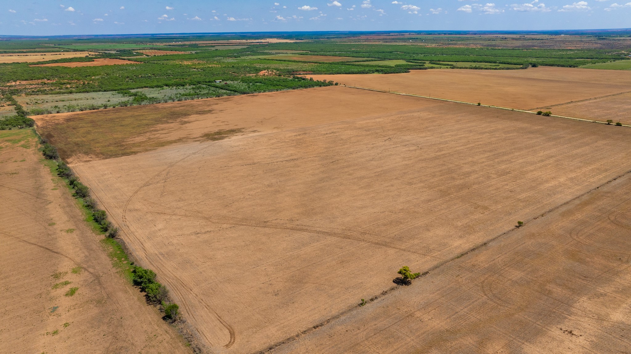 Tbd 179 County Road 161 Trent TX 79561