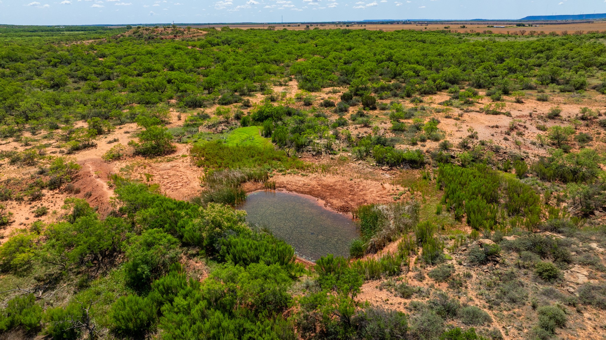 Tbd 179 County Road 161 Trent TX 79561