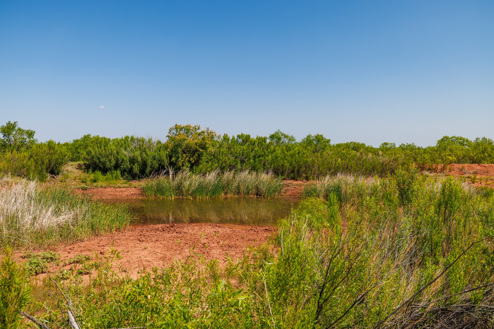 Tbd 179 County Road 161 Trent TX 79561