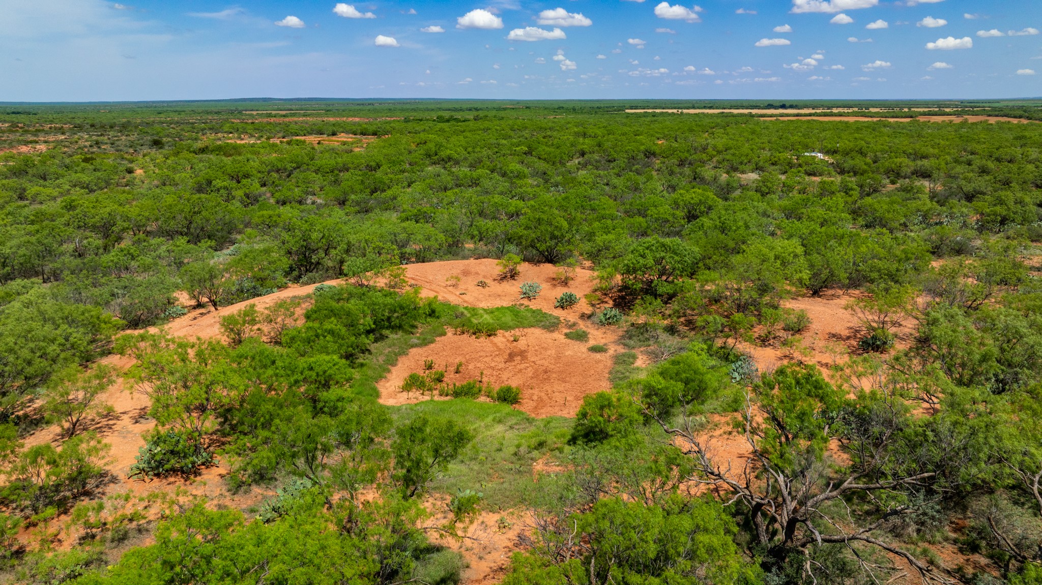 Tbd 179 County Road 161 Trent TX 79561