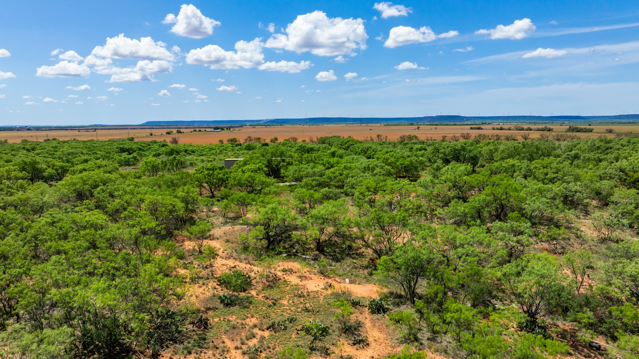 Tbd 179 County Road 161 Trent TX 79561