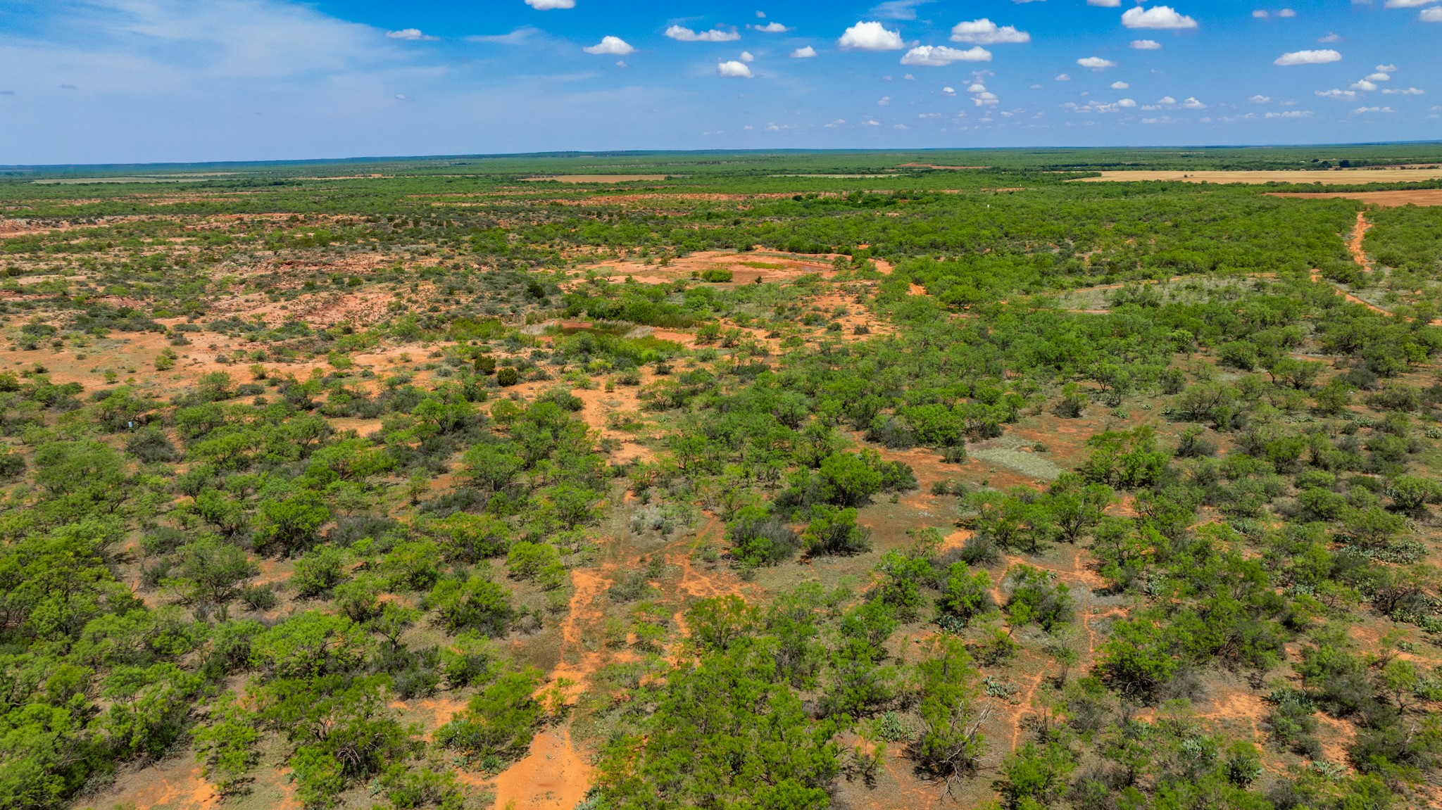 Tbd 179 County Road 161 Trent TX 79561