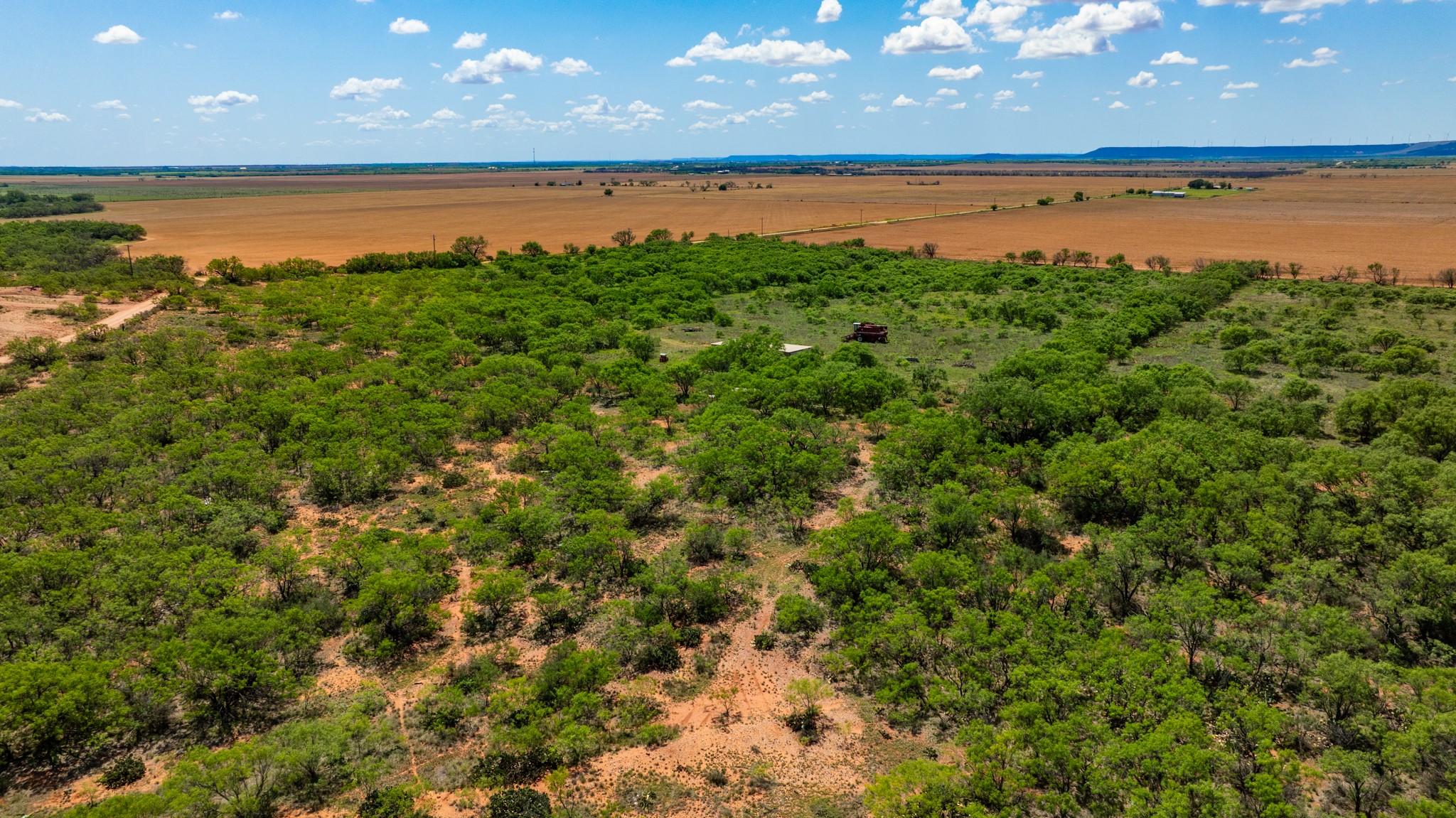 Tbd 179 County Road 161 Trent TX 79561