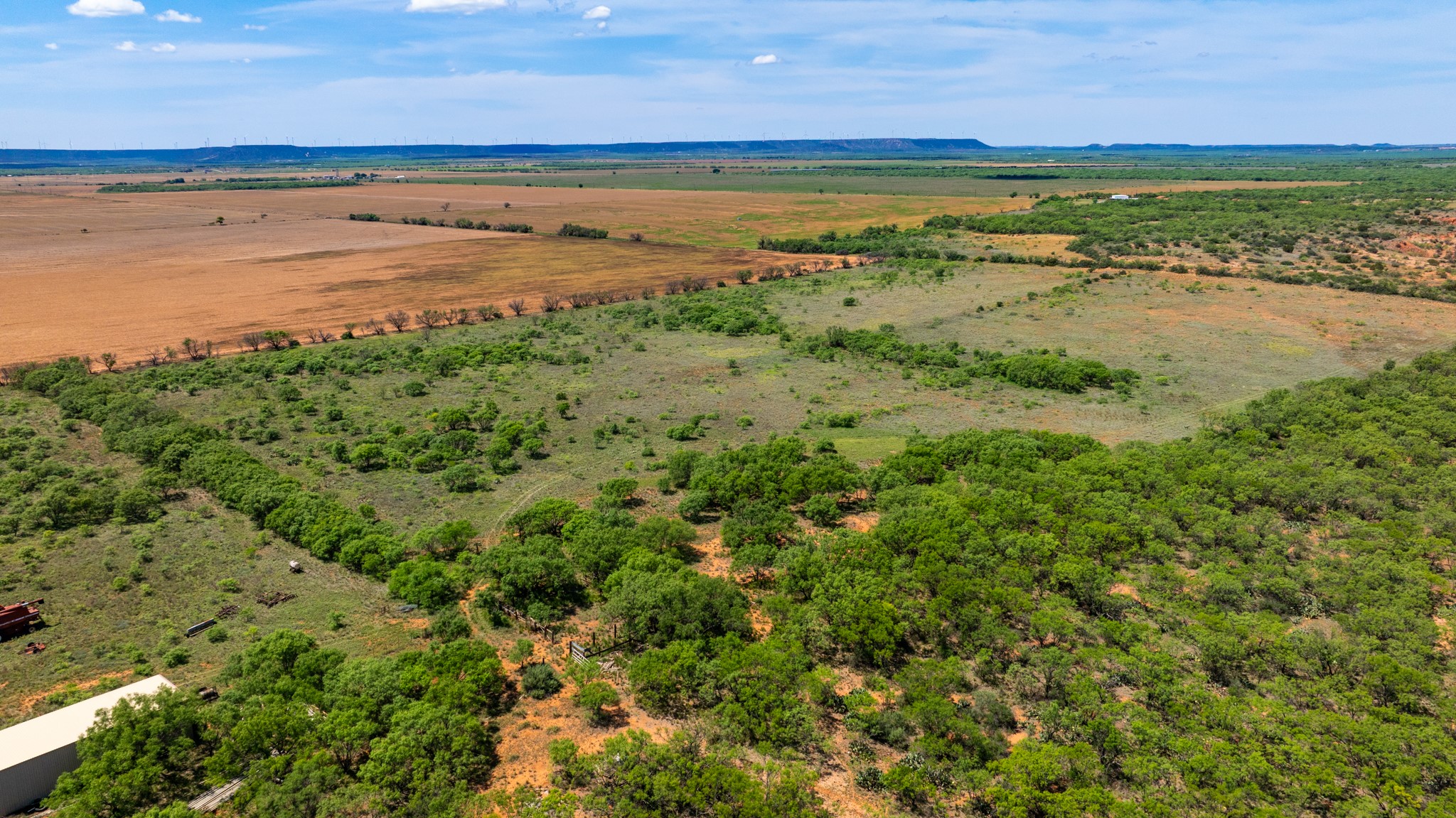 Tbd 179 County Road 161 Trent TX 79561