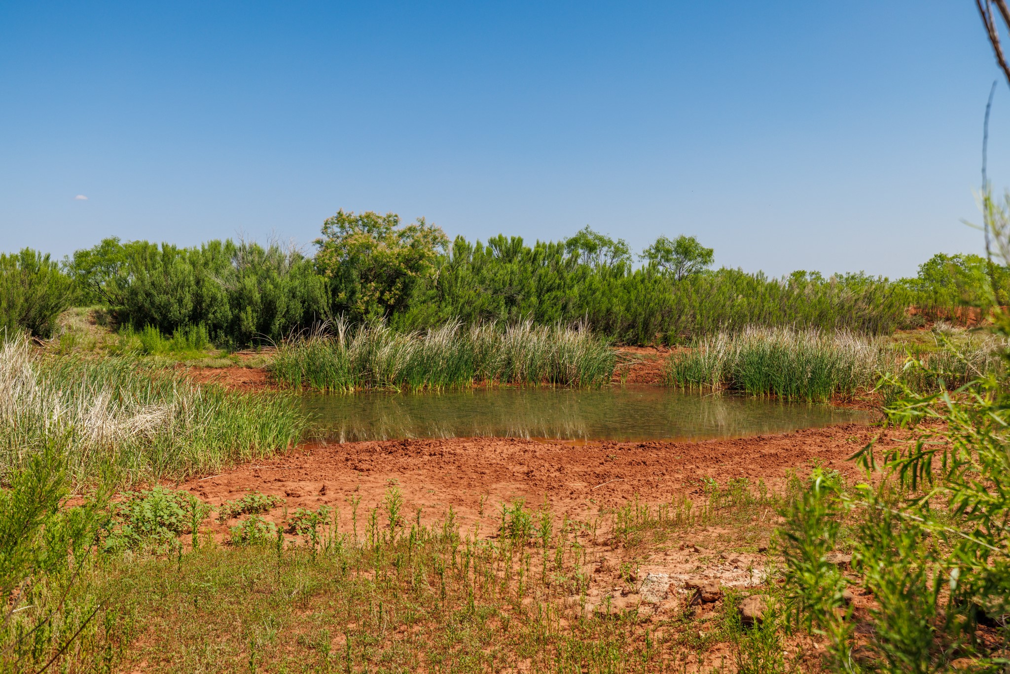 Tbd 179 County Road 161 Trent TX 79561