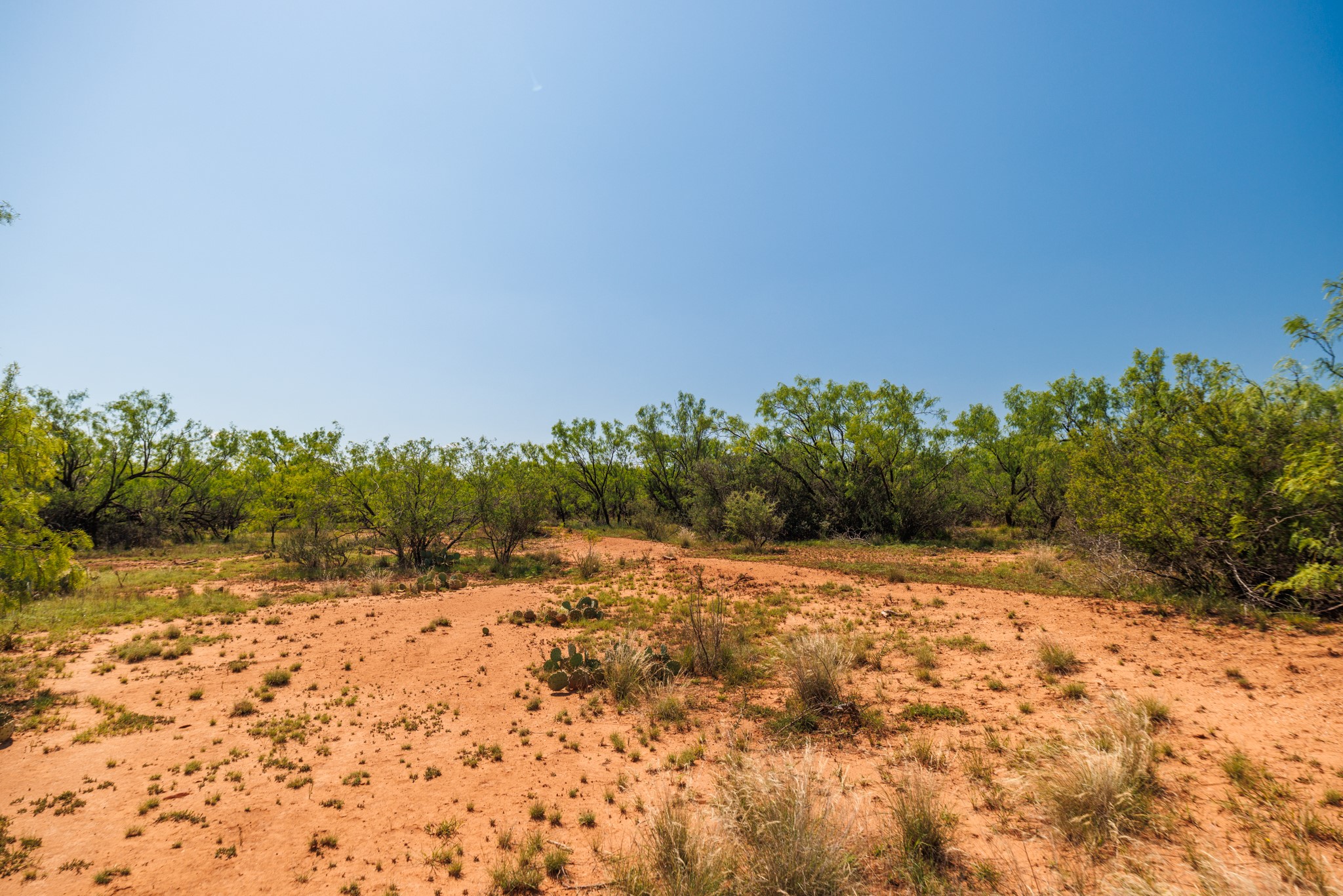 Tbd 179 County Road 161 Trent TX 79561