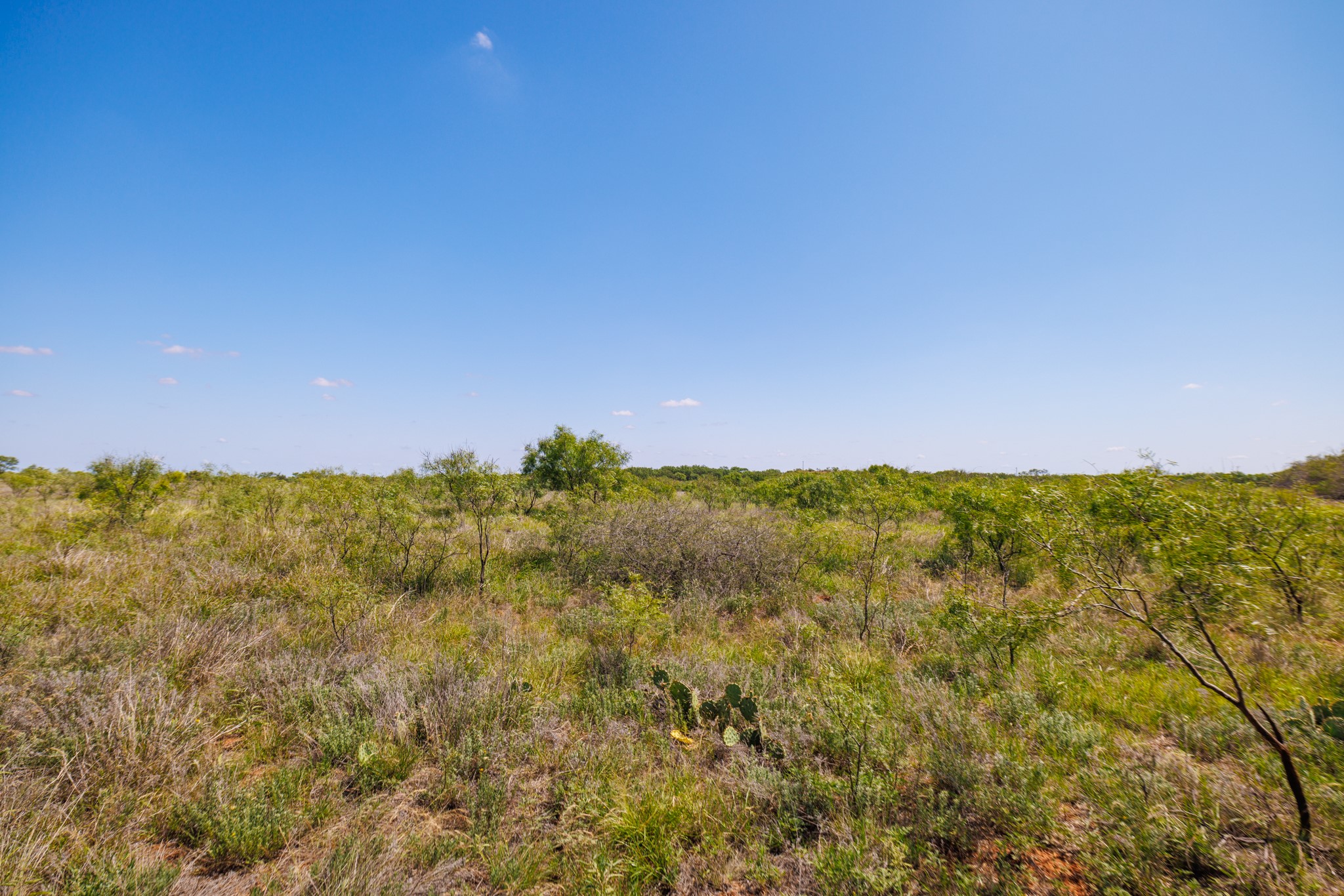 Tbd 179 County Road 161 Trent TX 79561
