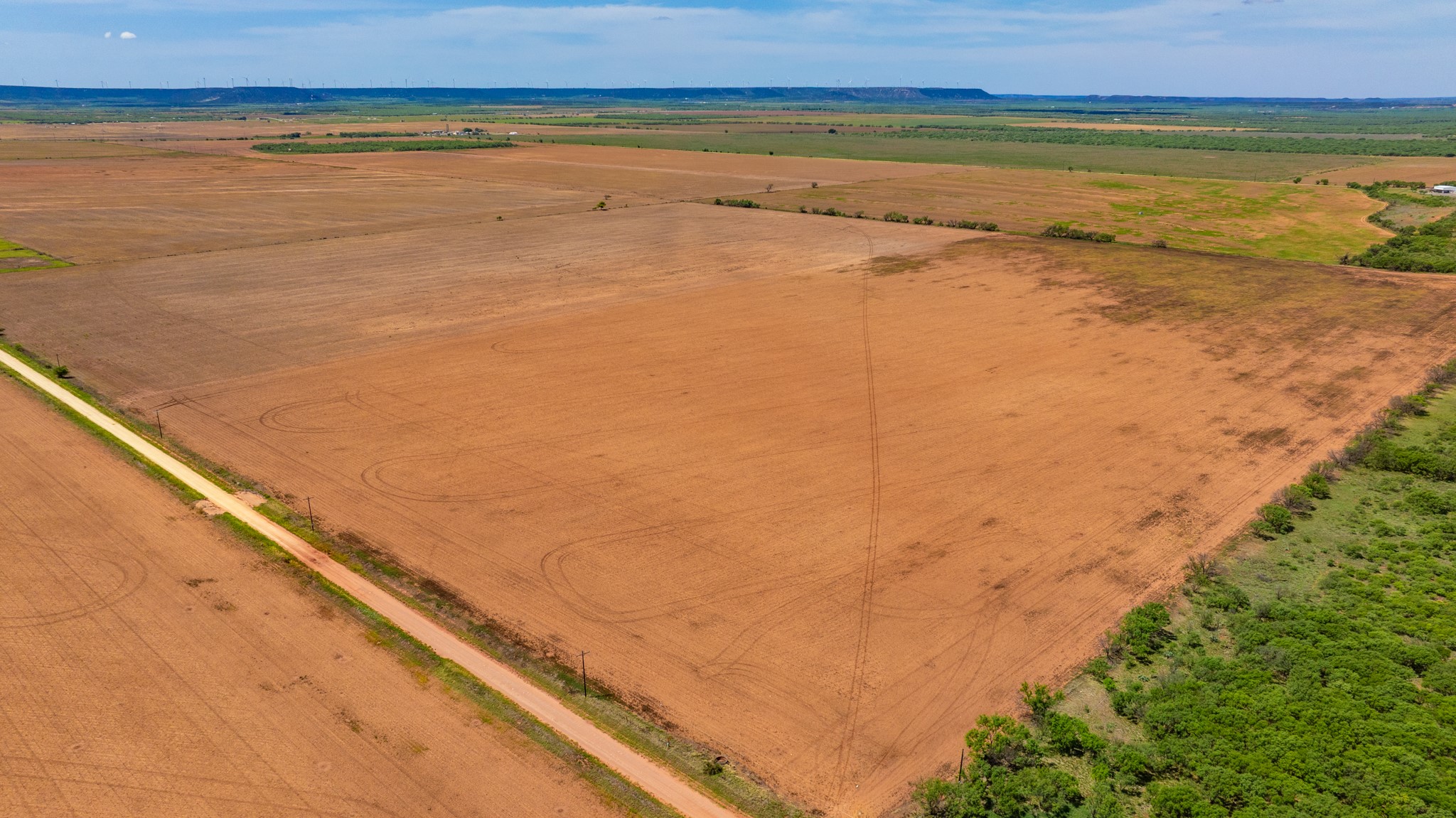 Tbd 179 County Road 161 Trent TX 79561