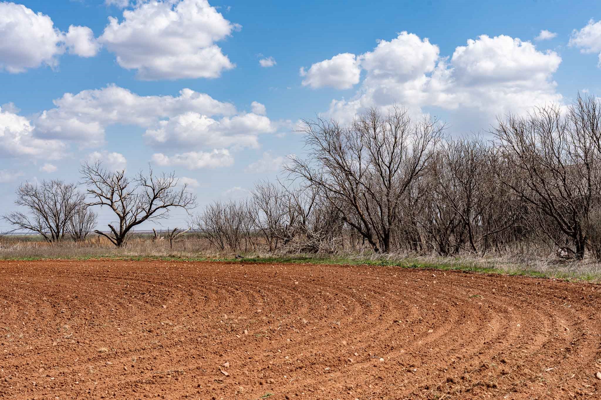 2706 County Road 299 Anson TX 79501