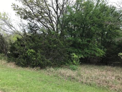 31037 Doe Run Court Whitney TX 76692