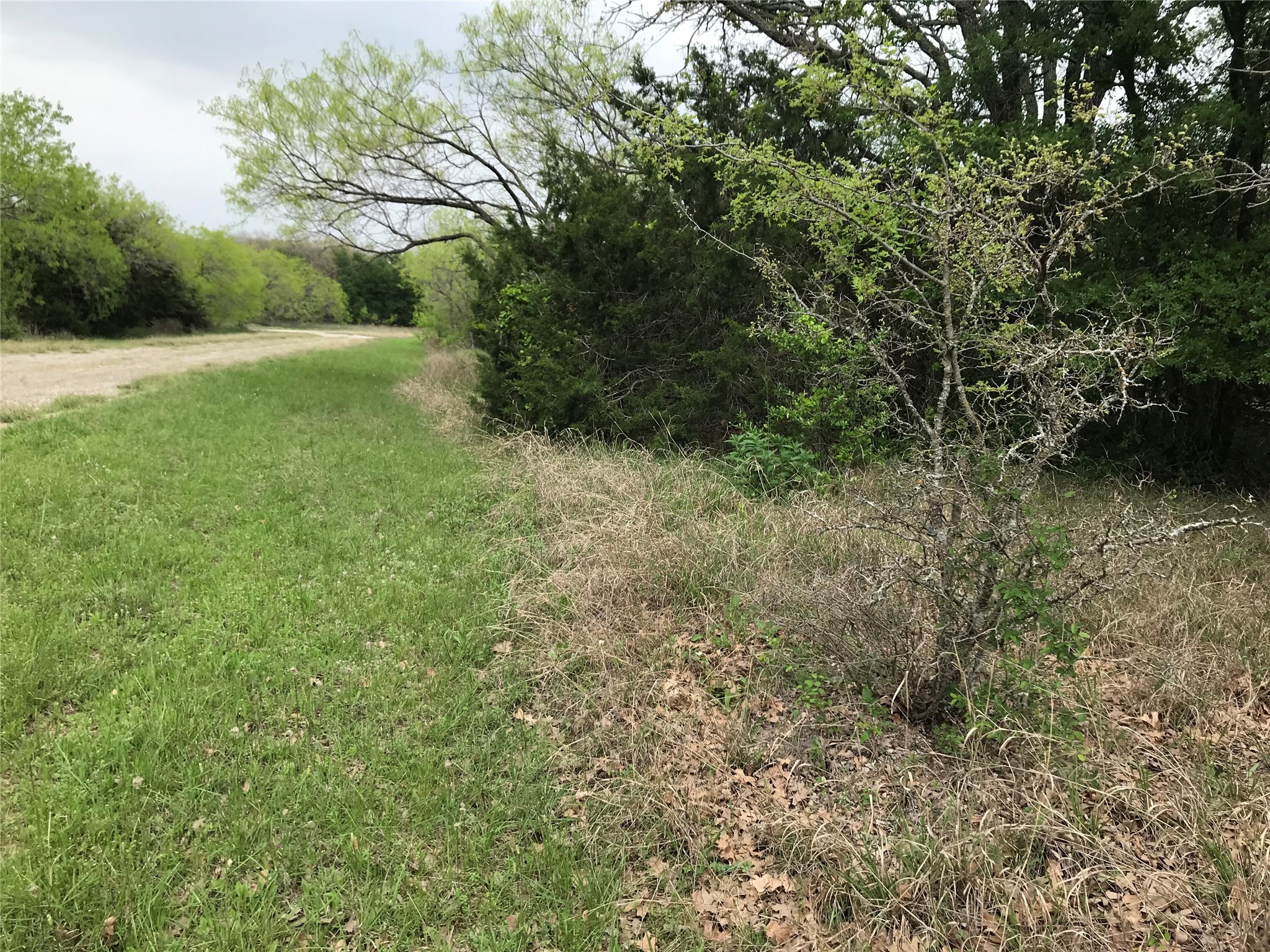 31037 Doe Run Court Whitney TX 76692
