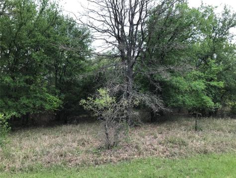 31037 Doe Run Court Whitney TX 76692