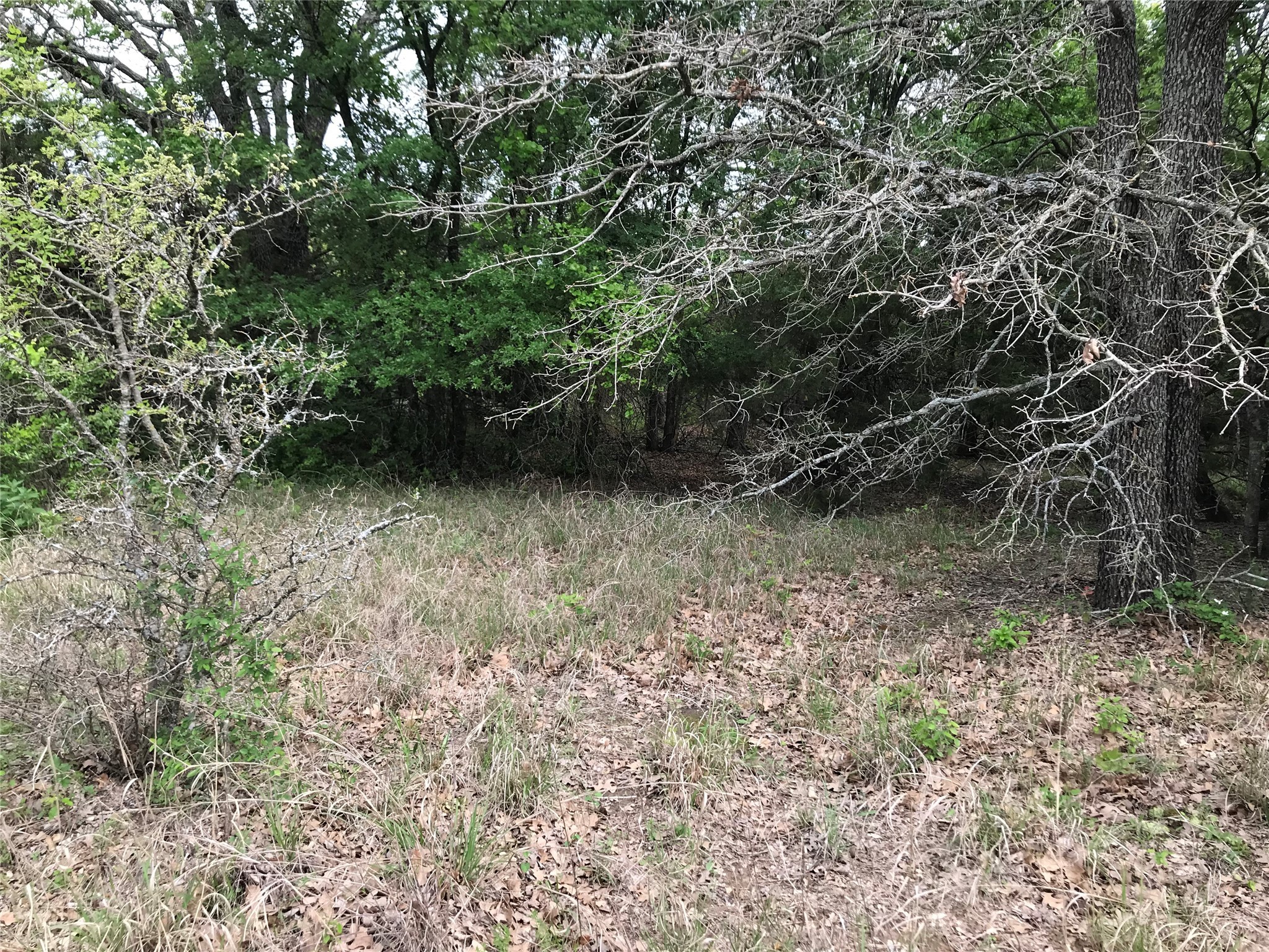 31037 Doe Run Court Whitney TX 76692