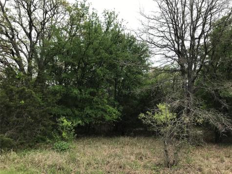 31037 Doe Run Court Whitney TX 76692