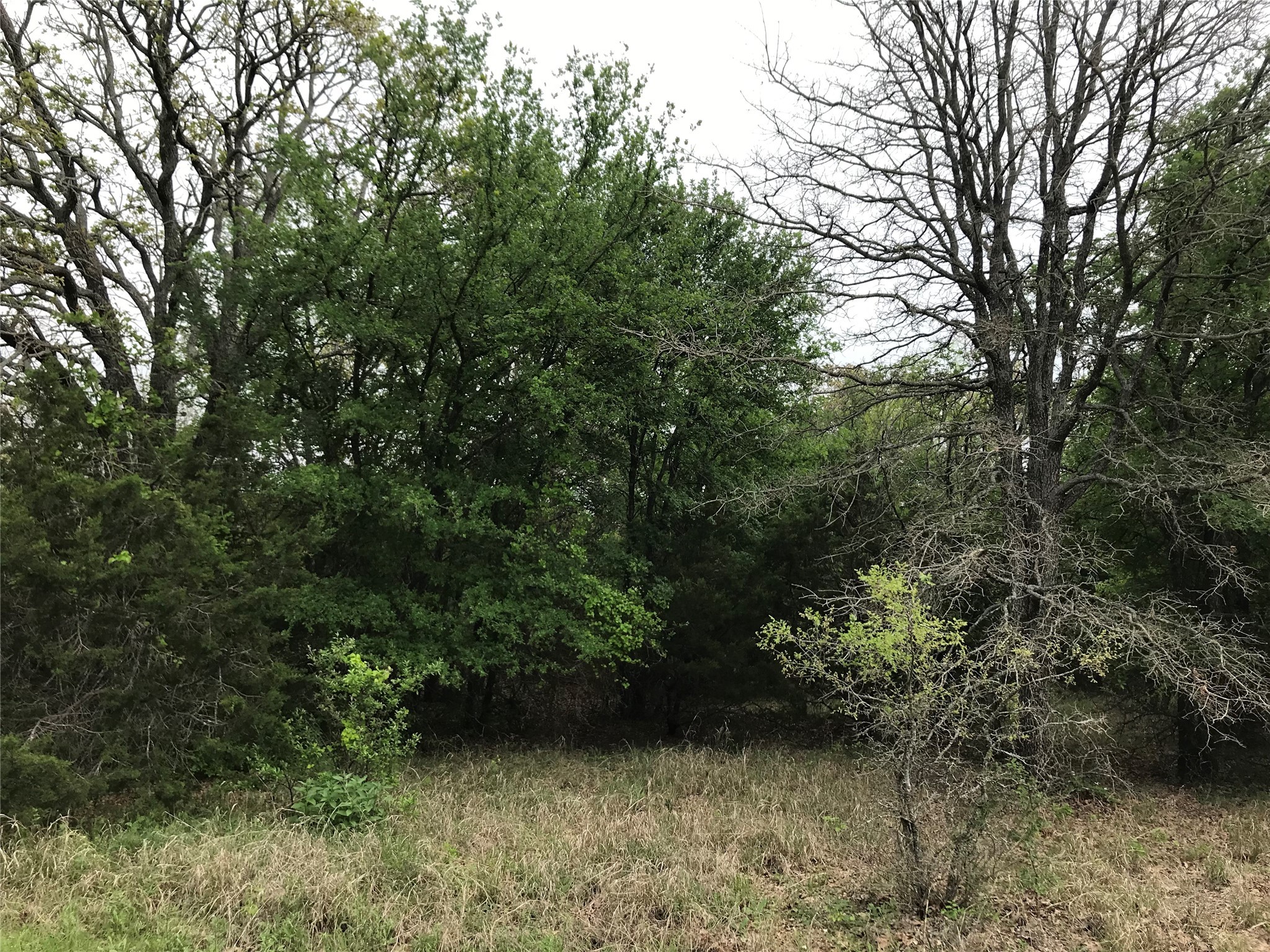 31037 Doe Run Court Whitney TX 76692