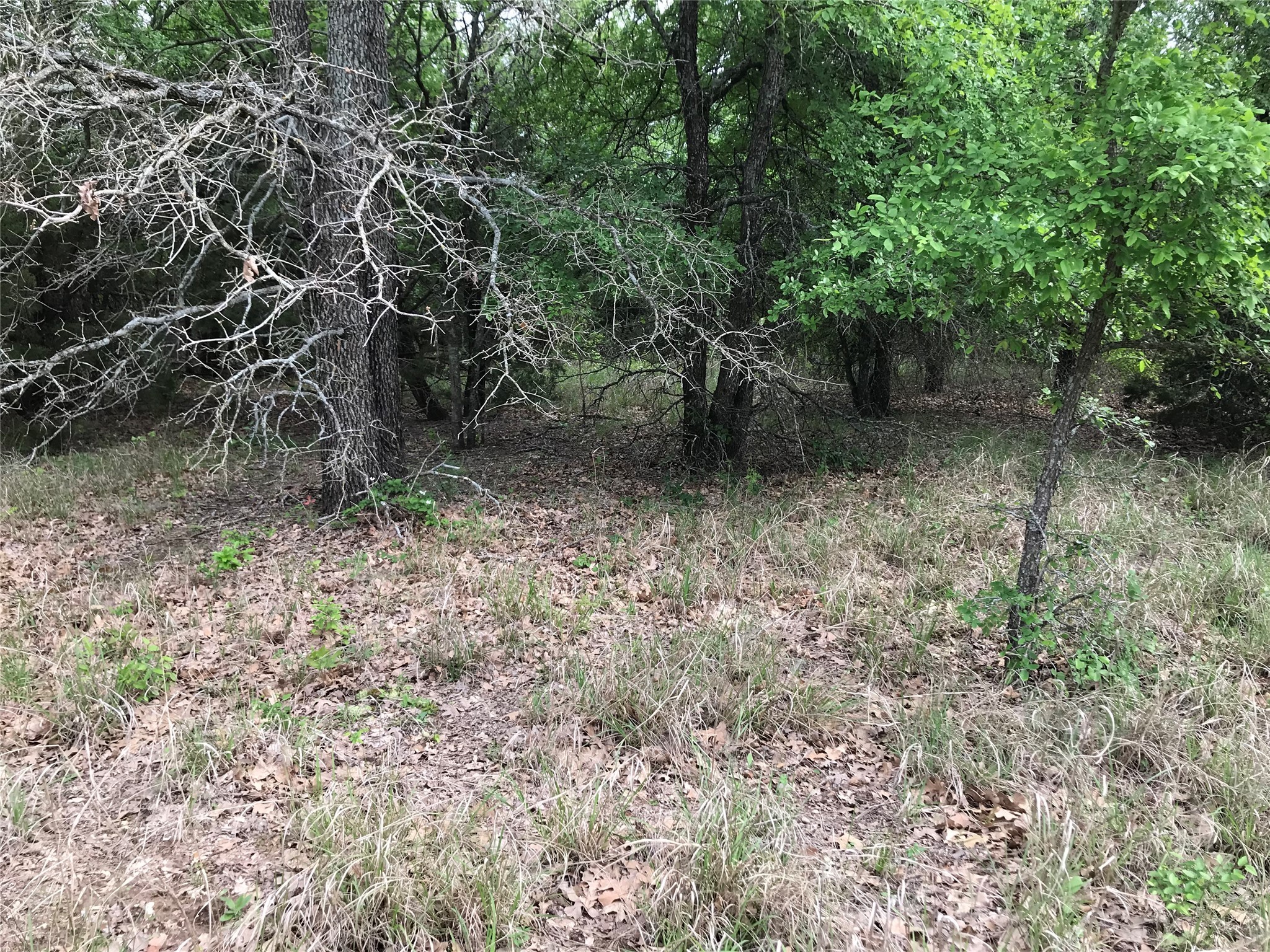 31037 Doe Run Court Whitney TX 76692